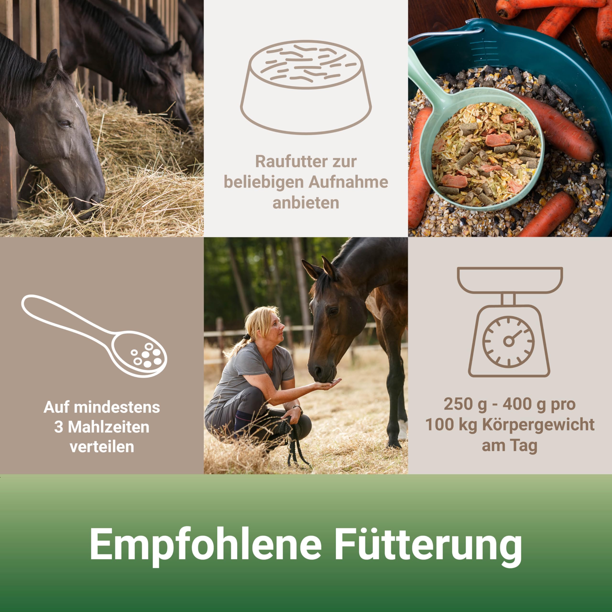 PANTO Kräutermüsli mit Wisan-Lein 20 kg – Pferdemüsli mit Omega-3 & 6