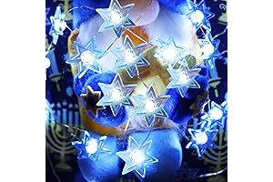 30-LED Star of David Hanukkah String Lights In Blue