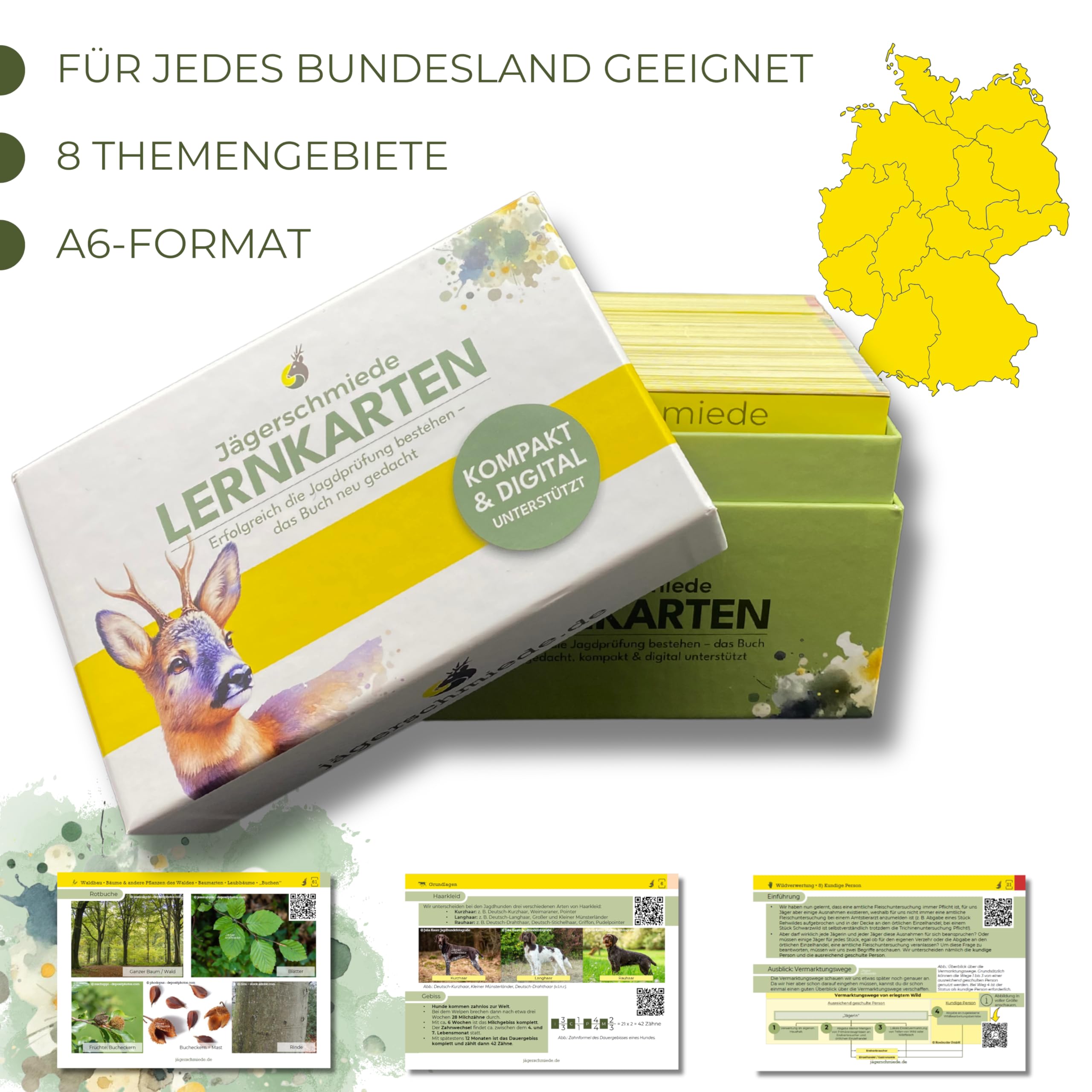 Lernkarten: Erfolgreich die Jagdprüfung bestehen & sicher zum Jagdschein - Das Buch neu gedacht; kompakt & digital unterstützt [Standardwerk]