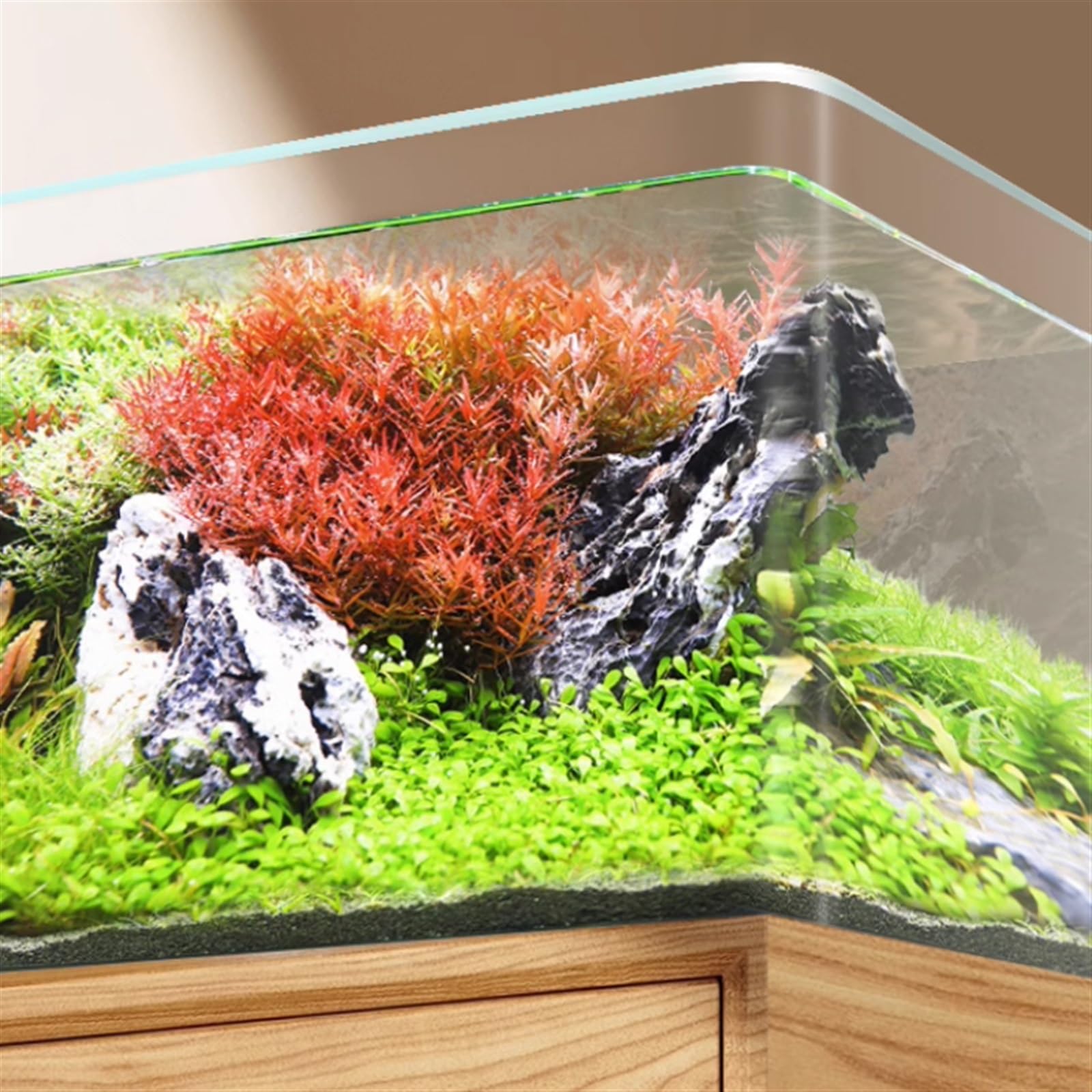 HASMI Aquarium TankFish Tank rectangulaire Verre Table Petit Aquarium éco-Paysage Plantes Aquatiques Poisson Rouge Aquaculture décoration (Size : D)