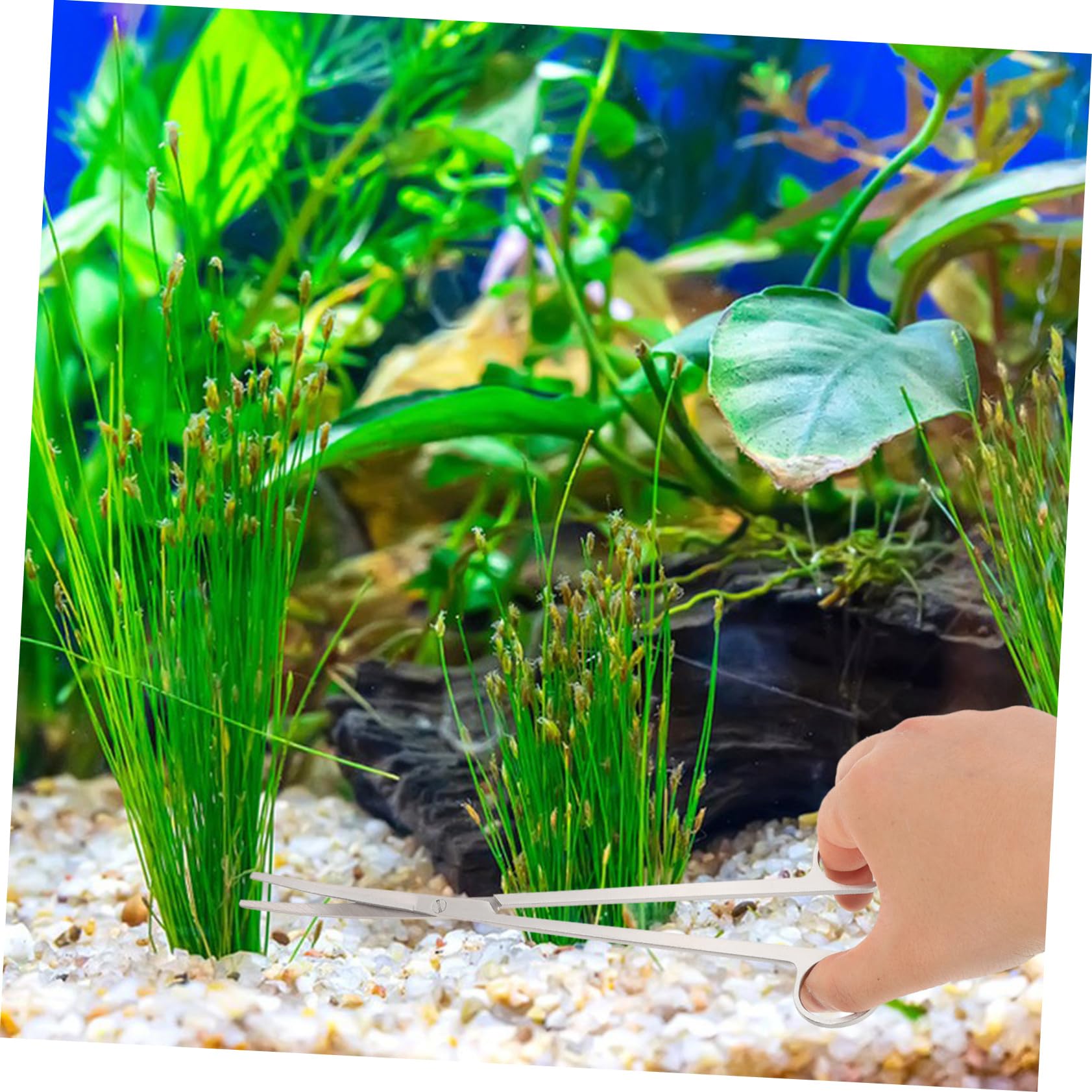 Toyvian 4 Sätze Teiliges Set für Wasserpflanzenpflege mit Gebogenen Scheren Geraden und Gebogenen Pinzetten für Aquarienpflege und Aquascaping