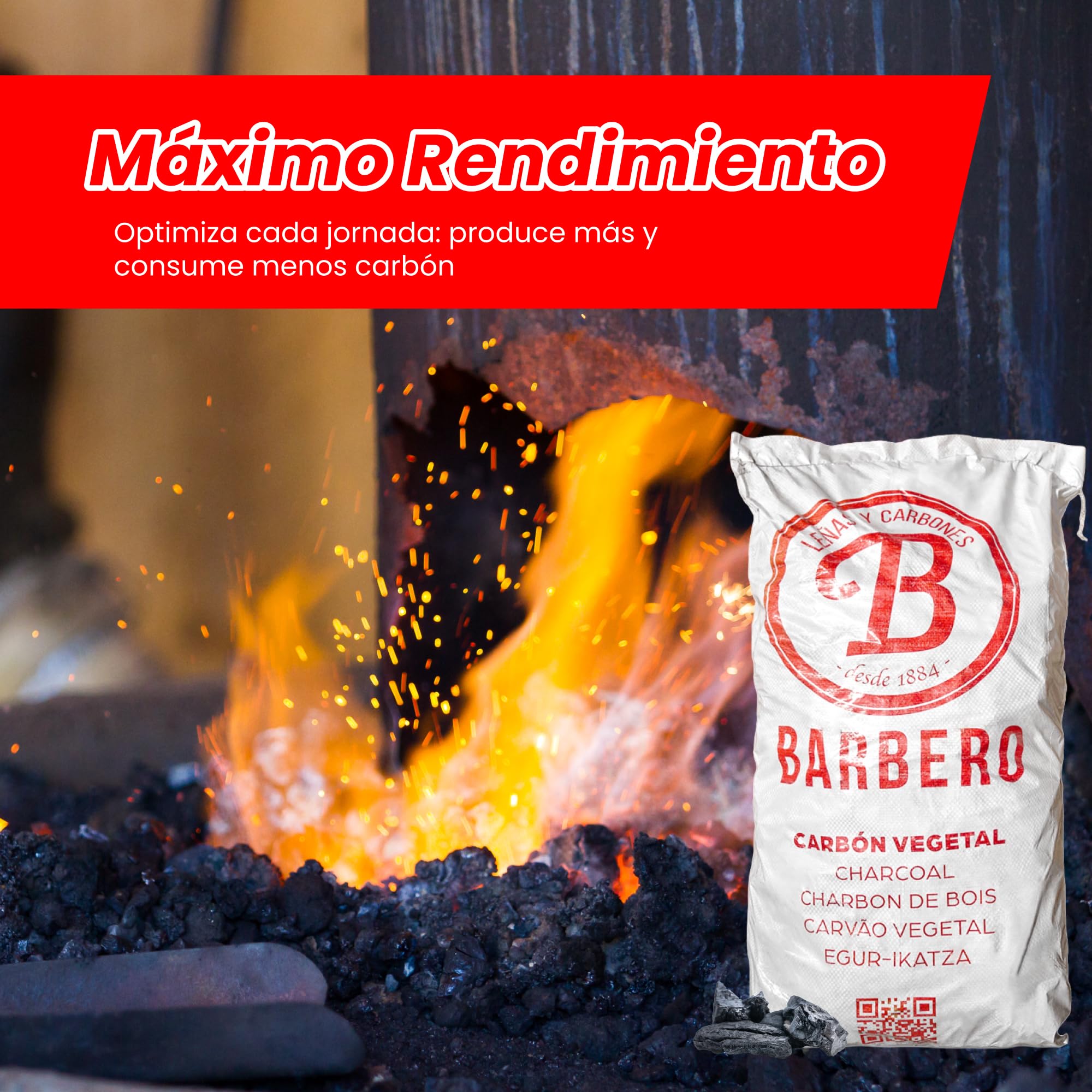 Carbón Vegetal Encina 100 Natural Grueso Saco 20kg Profesional Hostelería Barbacoa Cocina Exterior Brasa Gourmet Alta Temperatura Sin Humo Combustión Lenta Aroma Sabor Carnes (Saco, 1, Unidad)