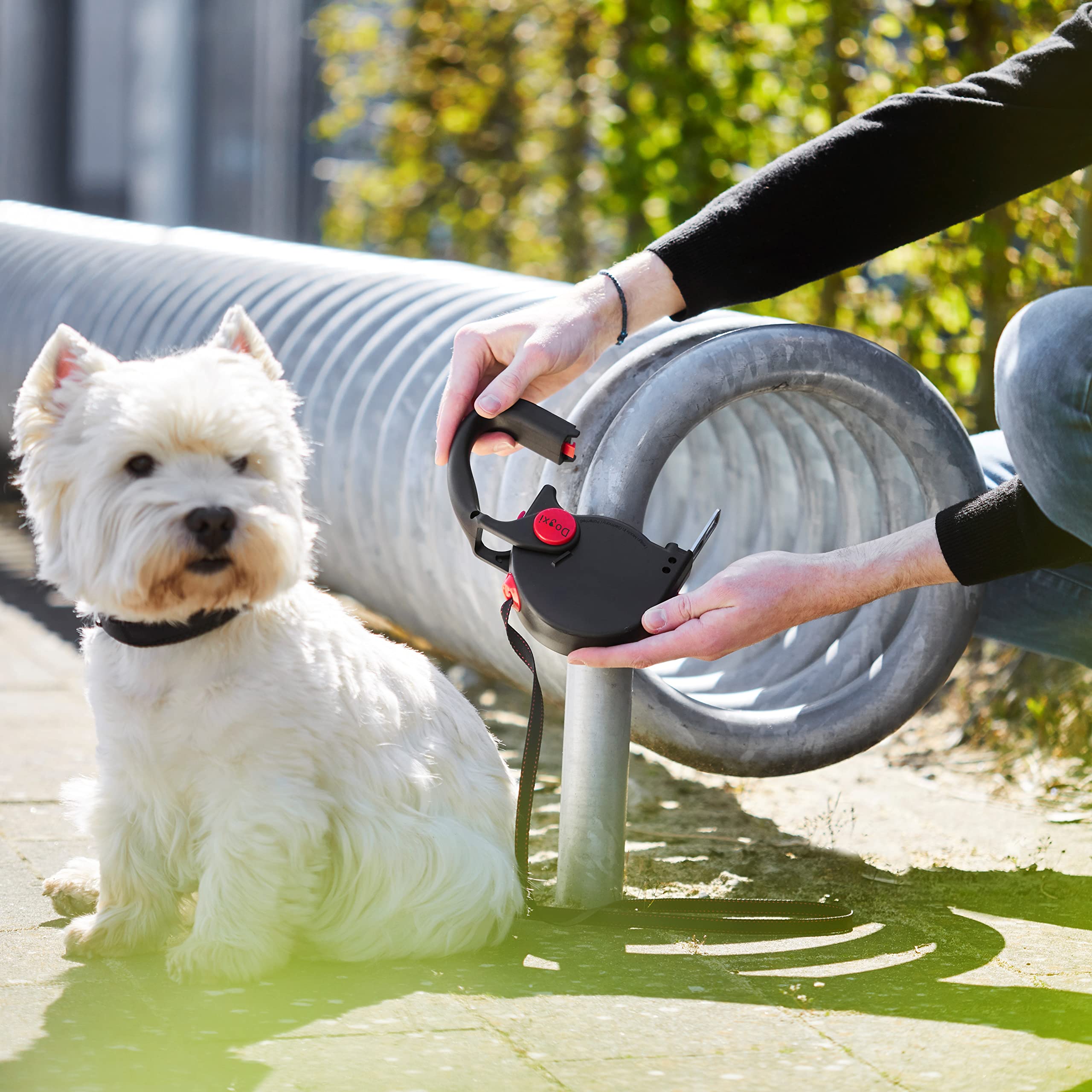 Hundeleine Rollleine 5m 25kg Griff aufklappbar Gurtzunge im Auto befestigen kleine mittelgroße Hunde schwarz mit Karabiner Leine 11mm breit ausziehbar verstellbar einziehbar