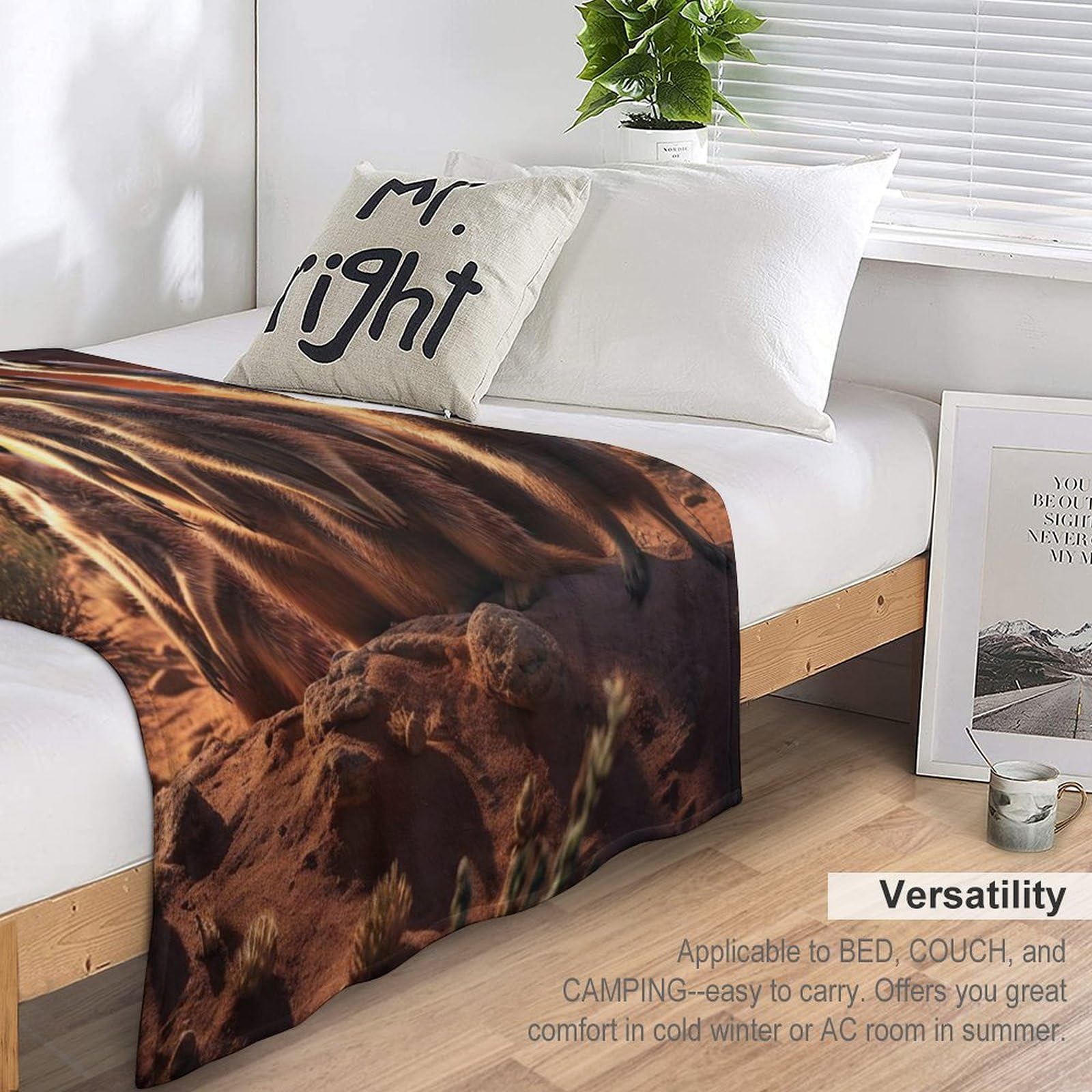 Erdmännchen BettDecke Sofa Warm Flannel Sofaüberwurf Decke, Dicke Sofadecke Couchdecke, Flauschige Wohndecke （150×200cm）