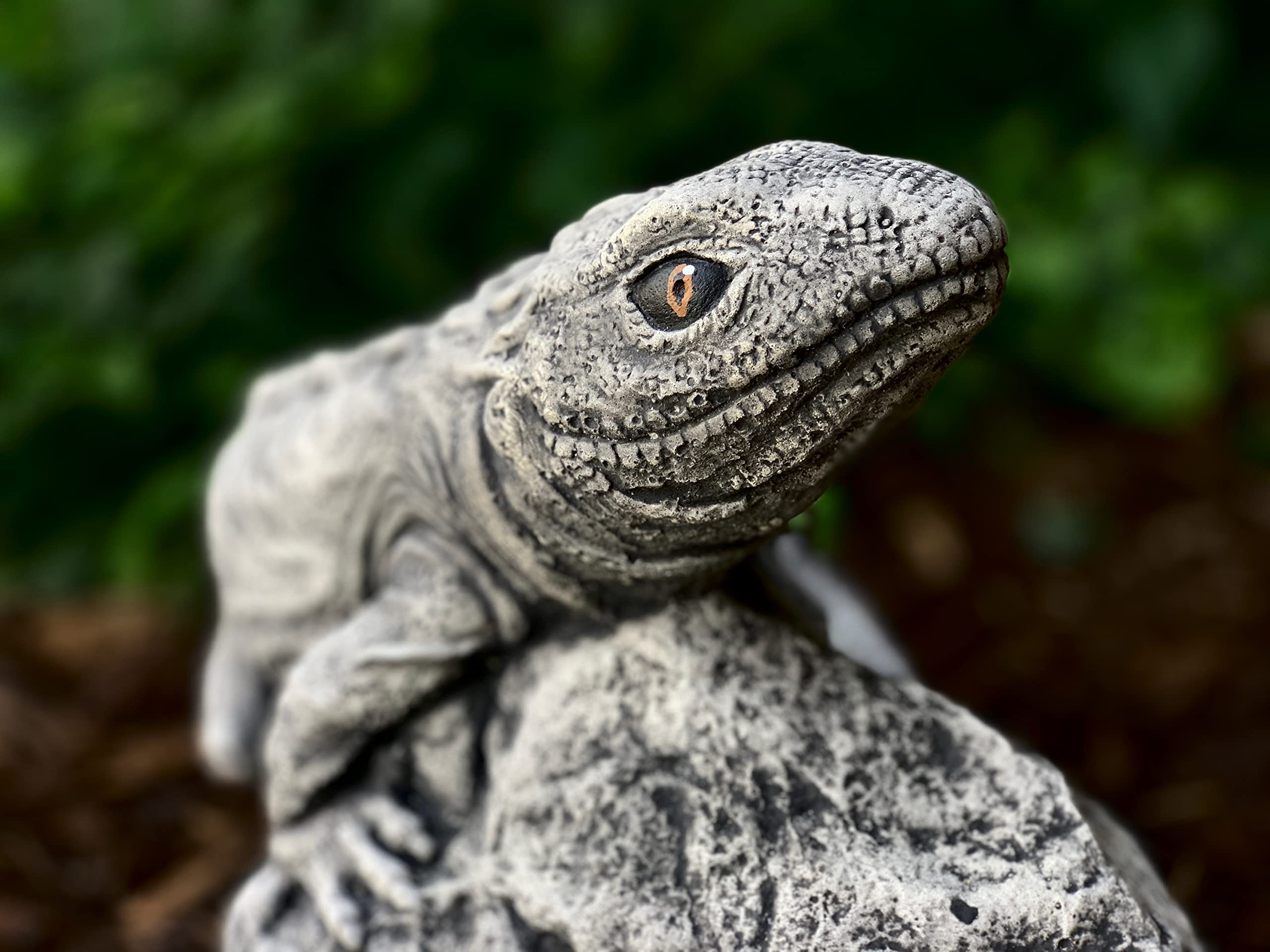 Amazon.com: Stone garden lizard Cement lizard on stone Concrete