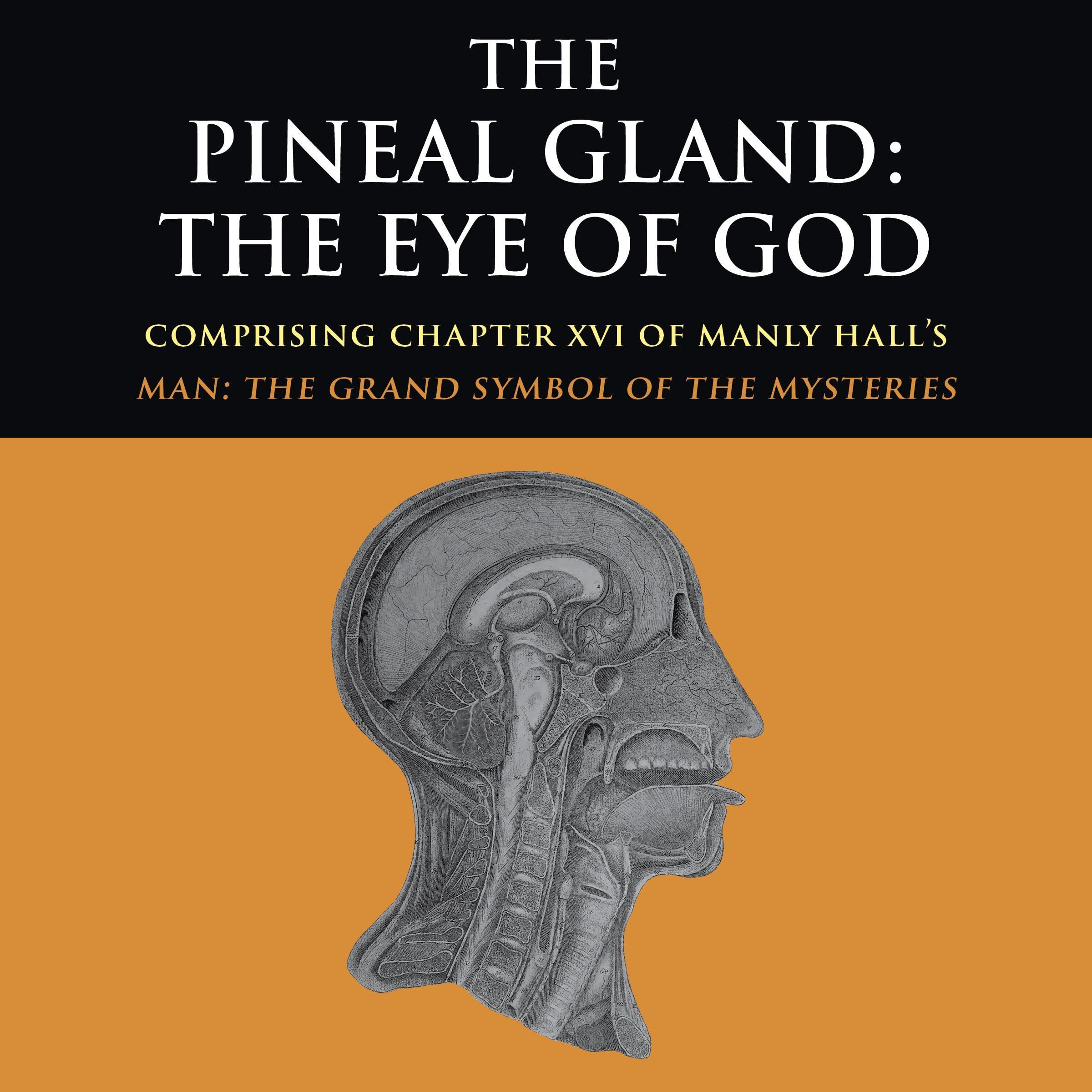 The Pineal Gland