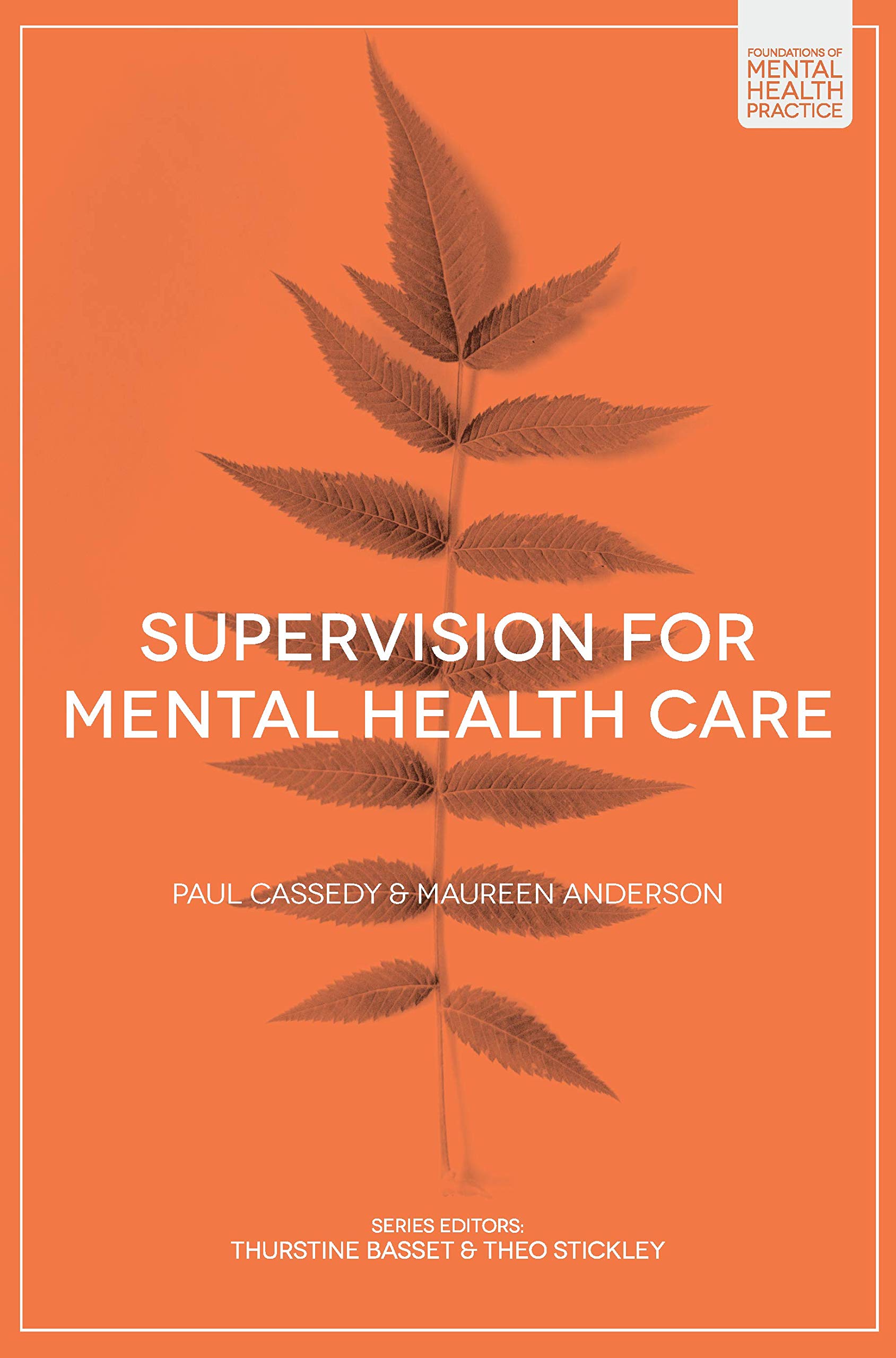 Supervision for Mental Health Care: 6 (Foundations of Mental Health Practice)