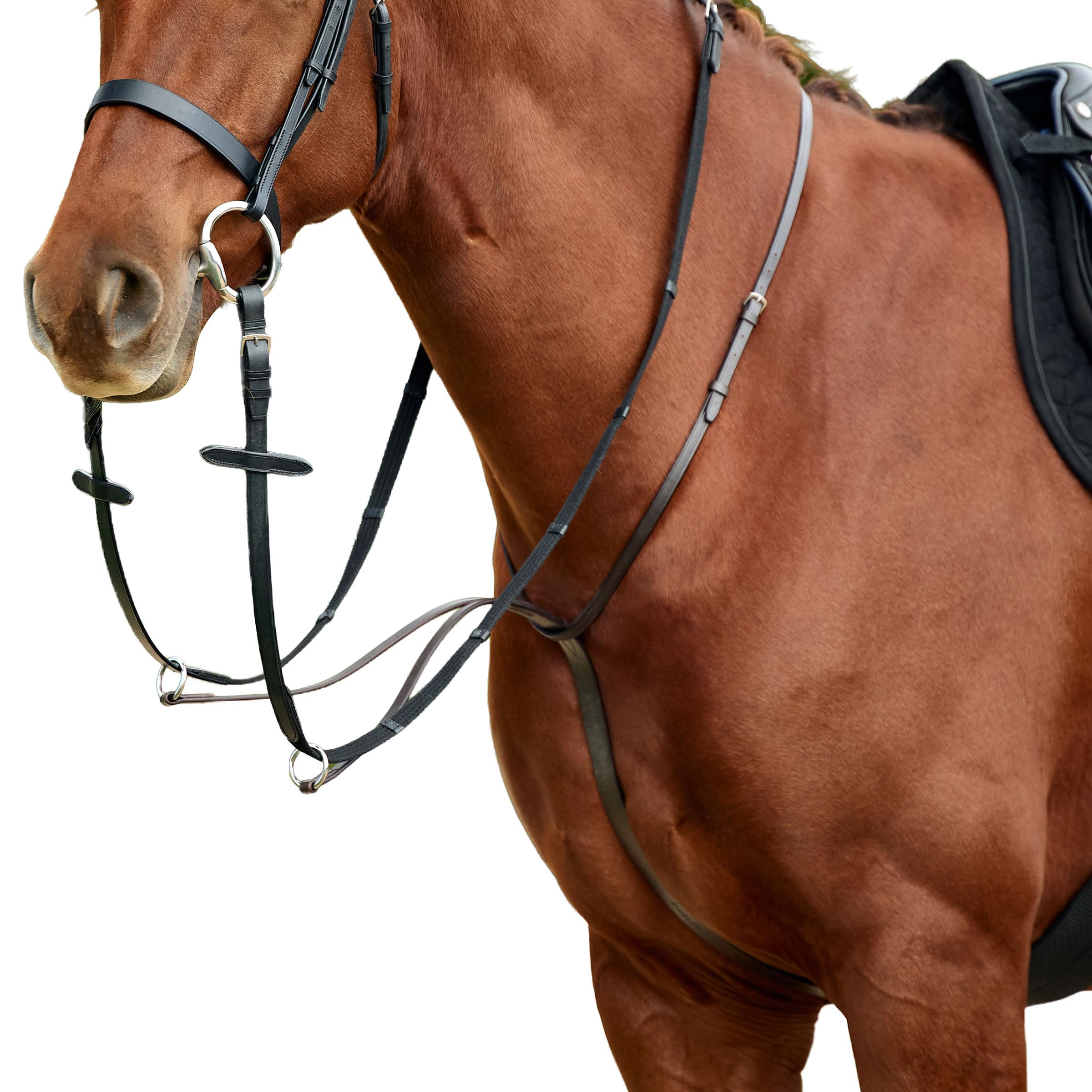Dublin Running Martingale, Black, Cob
