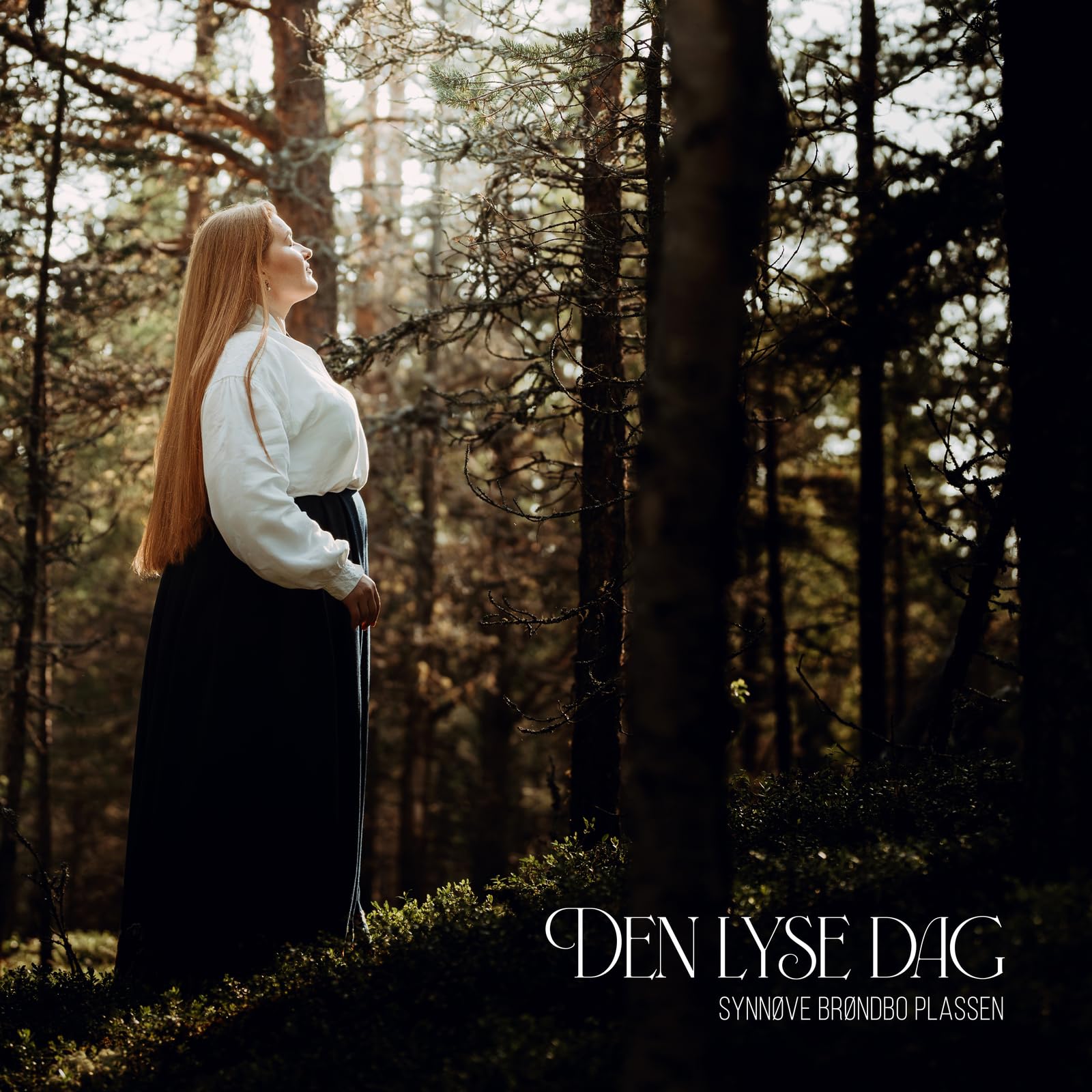 Den Lyse Dag