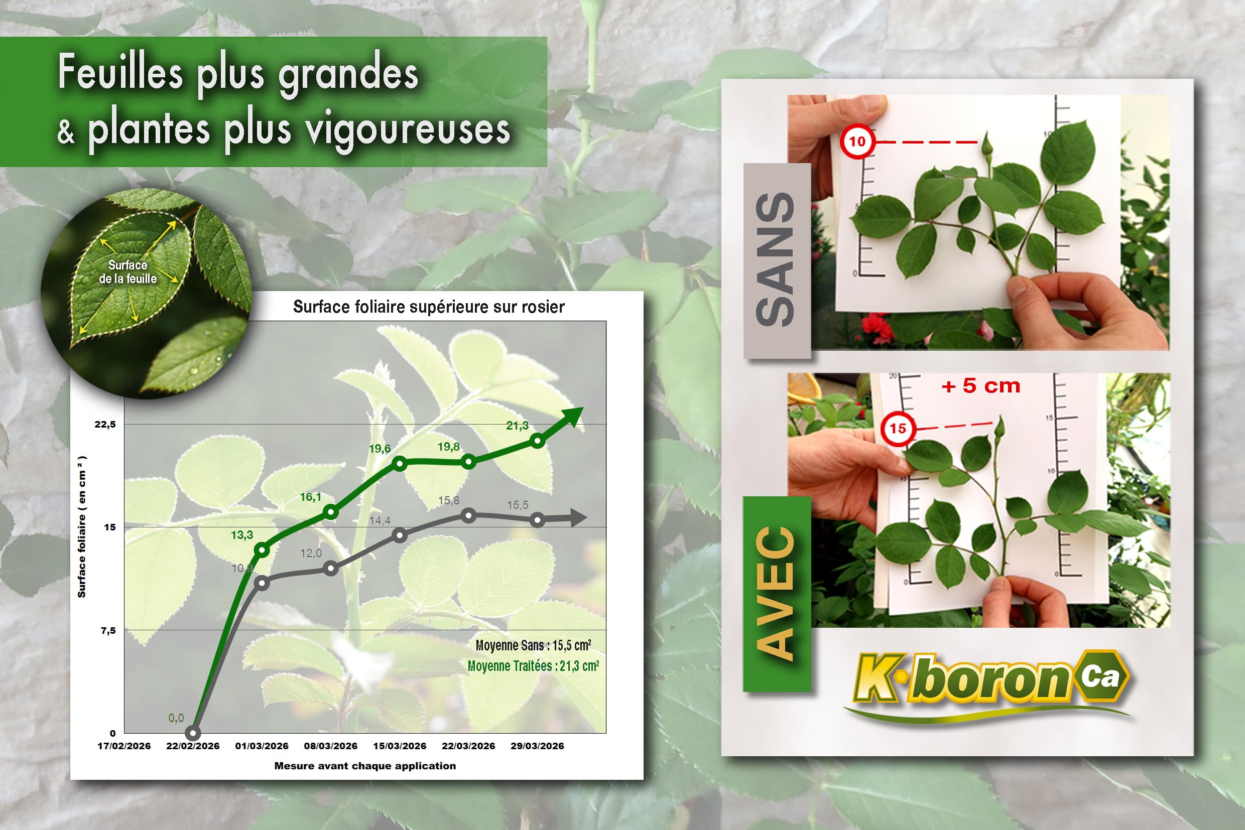 Spray Foliaire Liquide 750ml- Engrais Prêt à l'Emploi-Favorise Floraison & Croissance - Plantes Vertes, Jardin et Potager