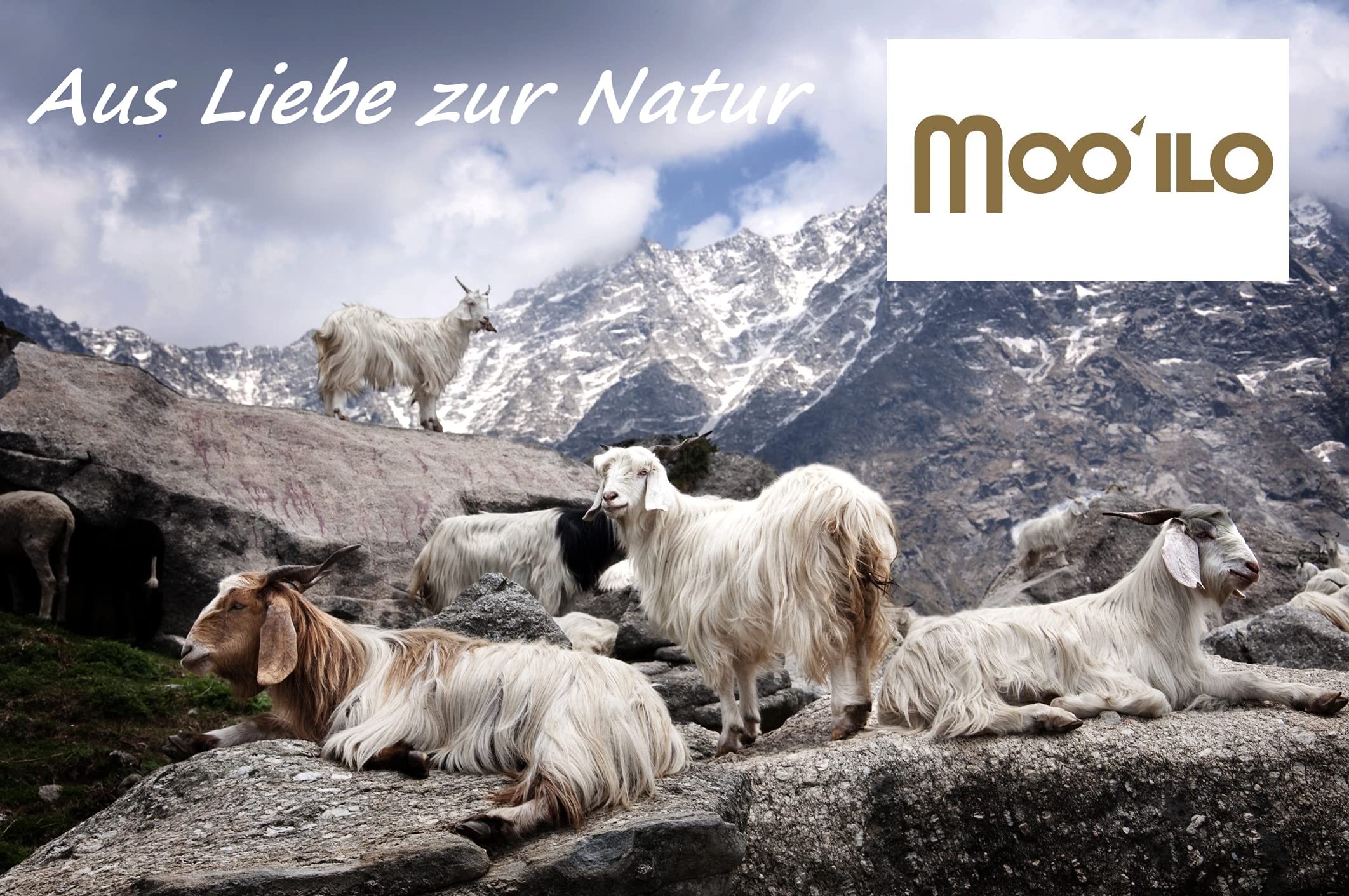 Mooilo - 100% pures Kaschmir - Luxury Fashion, Schals, Herrenmode, Cashmere, Schal, Kaschmirschal, beige, 30 cm, Design, made in Germany (beige)