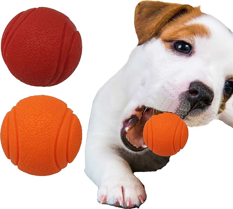 Amazon.co.uk dog balls
