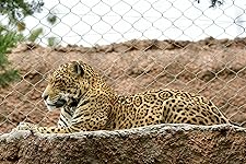 Review Image by Steven Steinberger Steven Steinberger