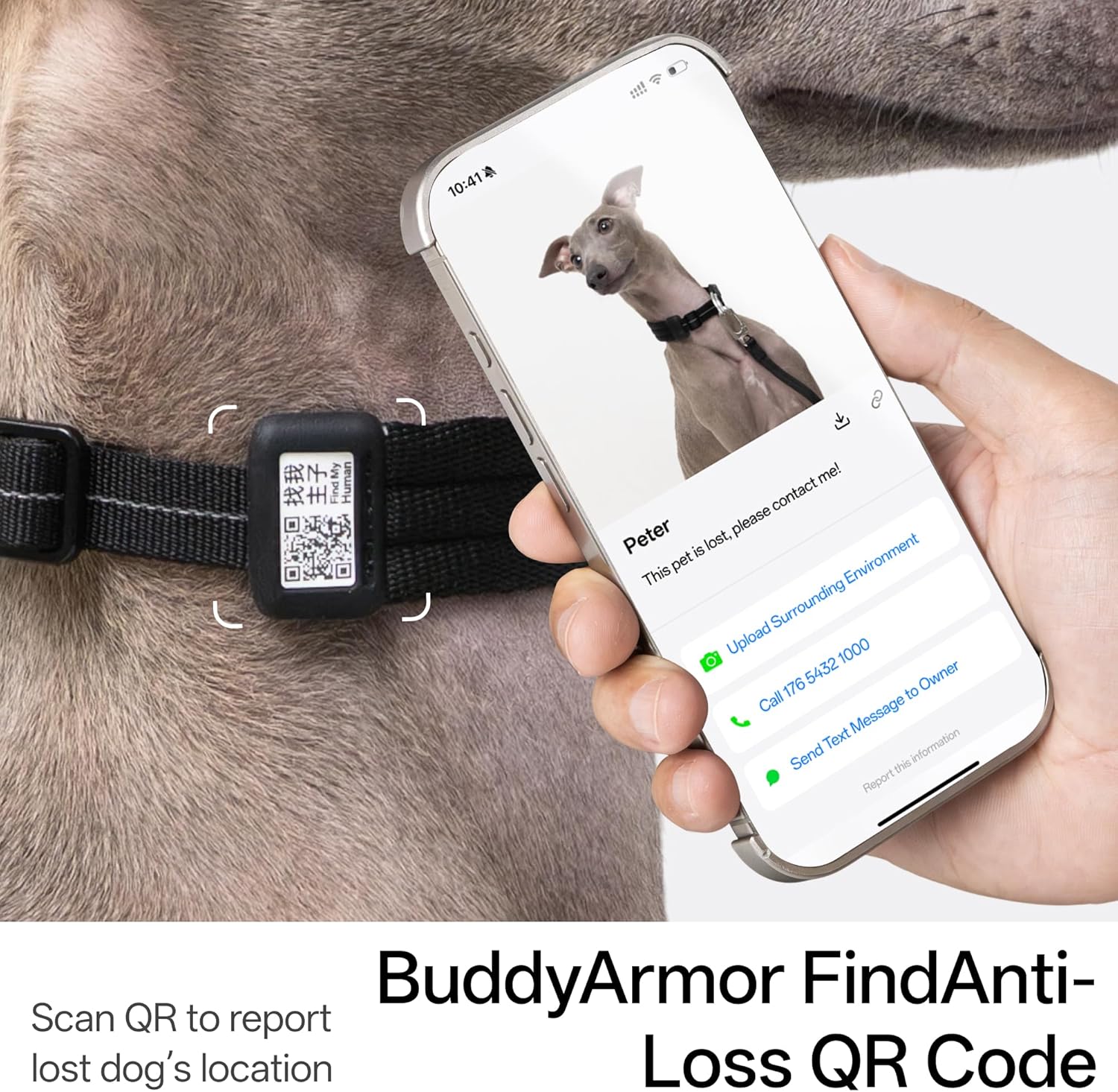 Ultra Comfort Dog Collar Soft Padded Adjustable Nylon Collar QR Code Anti-Lost Comfortable Cozy Dog Collar with Durable Aluminum Alloy Buckle for Small to Large Dogs (Midnight Black, L)