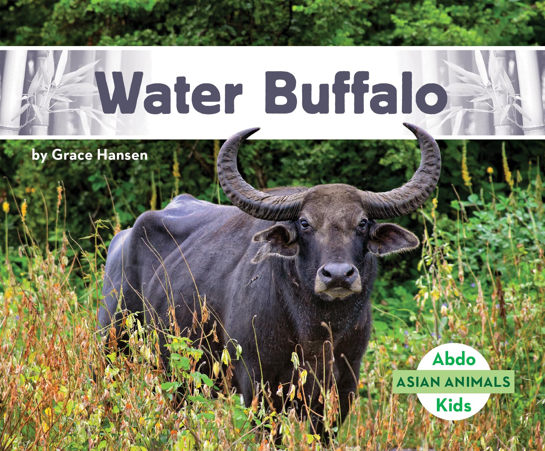 Water Buffalo (Asian Animals) Library Binding – Import, 15 December 2020