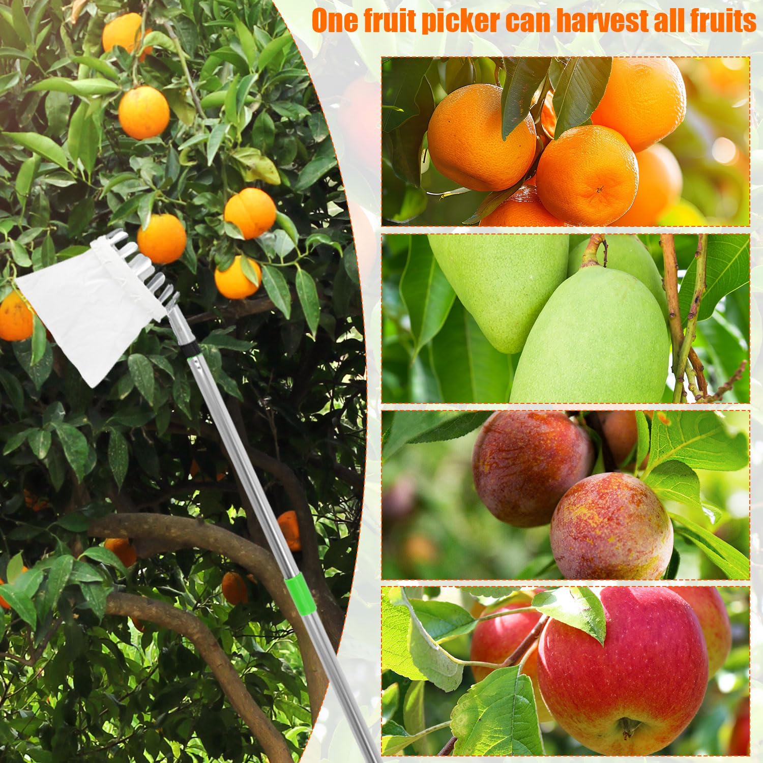 XIHIRCD Raccogli Frutta con Palo, Raccoglitore di Frutta Strumento Raccoglifrutta Regolabile con Cestello Telescopico in Acciaio Inox per Raccogliere Alberi di Mele Albicocche Mango Lime Nettarine