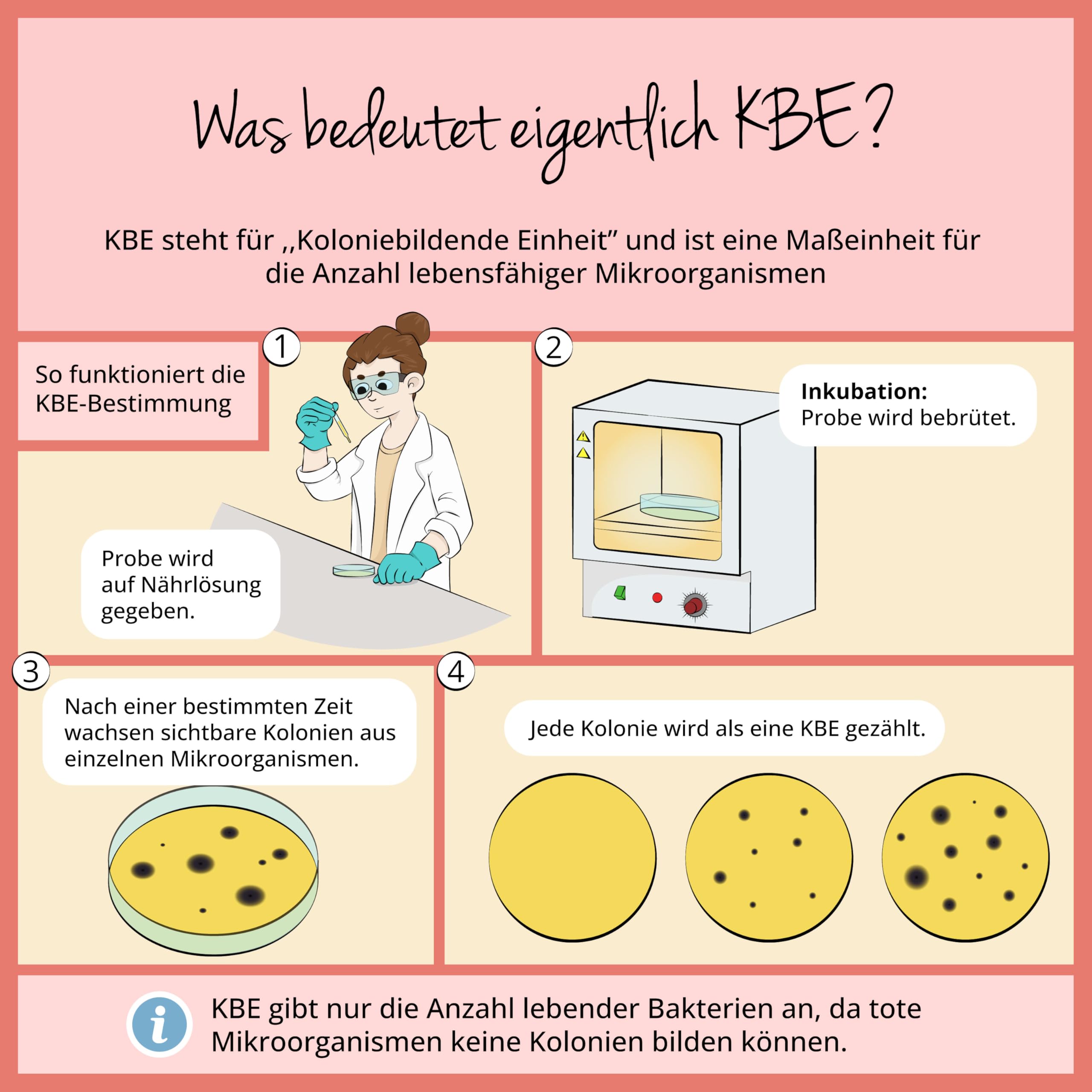 Youth Biotics Kapseln | Veganer Anti-Aging Komplex | Mit Vollagen, Hyaluronsäure & Bakterienstämmen | Magensaftresistent | 60 Stück | Deutsche Produktion von Vegavero
