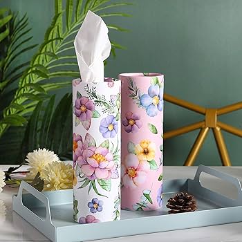 Amazon.com: Car Tissues Holder with Facial Tissues - 4 PK