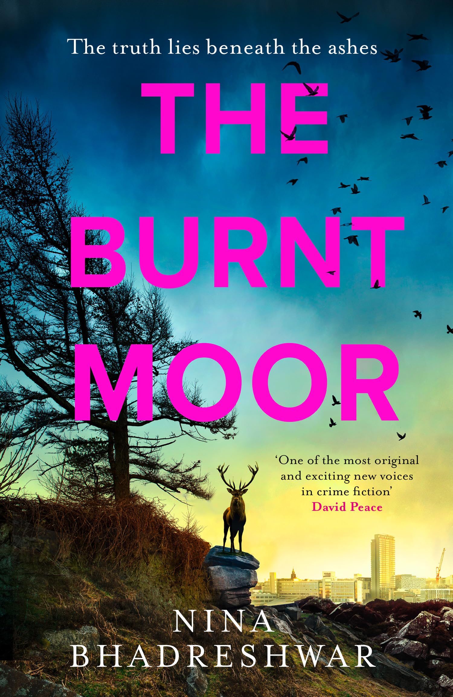 BURNT MOOR_DIANA WALKER2 HB by Nina Bhadreshwar (Hardback Book)