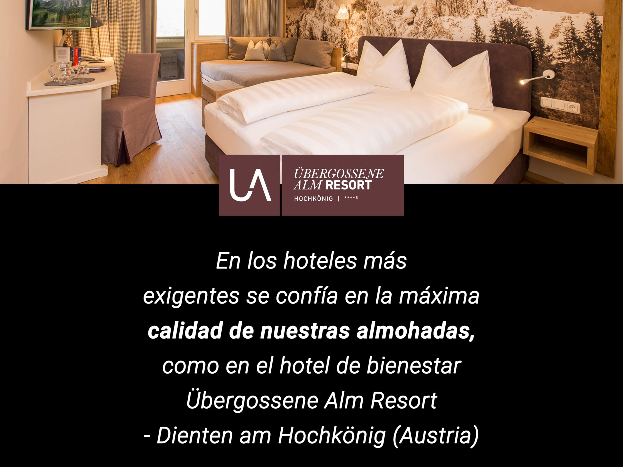 ZOLLNER Juego de 2 Almohadas - Fabricadas en Alemania - Relleno de poliéster - Funda de poliéster Lavables a 60 °C - 40 x 60 cm - Calidad hotelera - Certificación Oeko Tex®