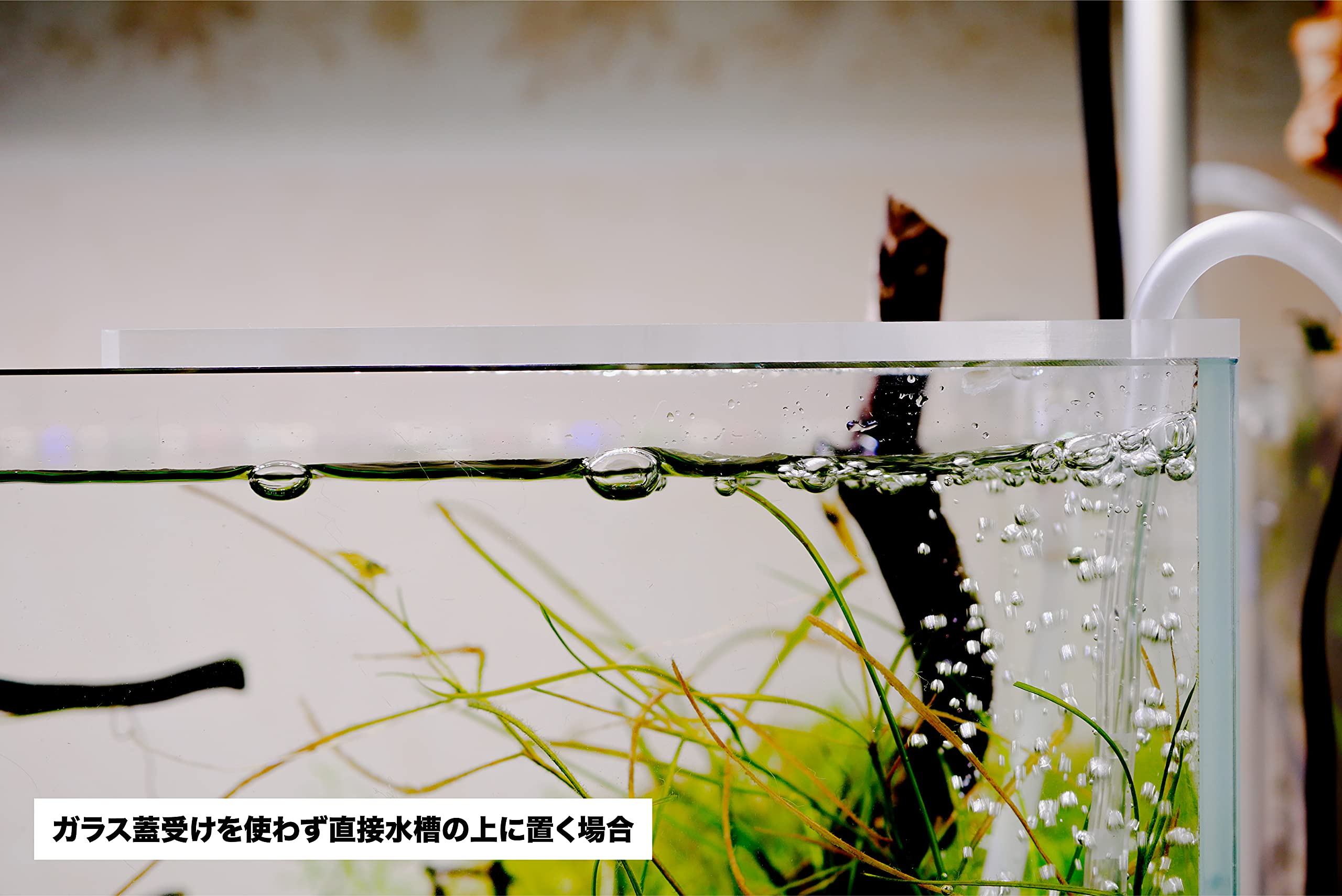 Amazon | エアガード（大）90cm水槽〜大型水槽用【AQUASHOP wasabi