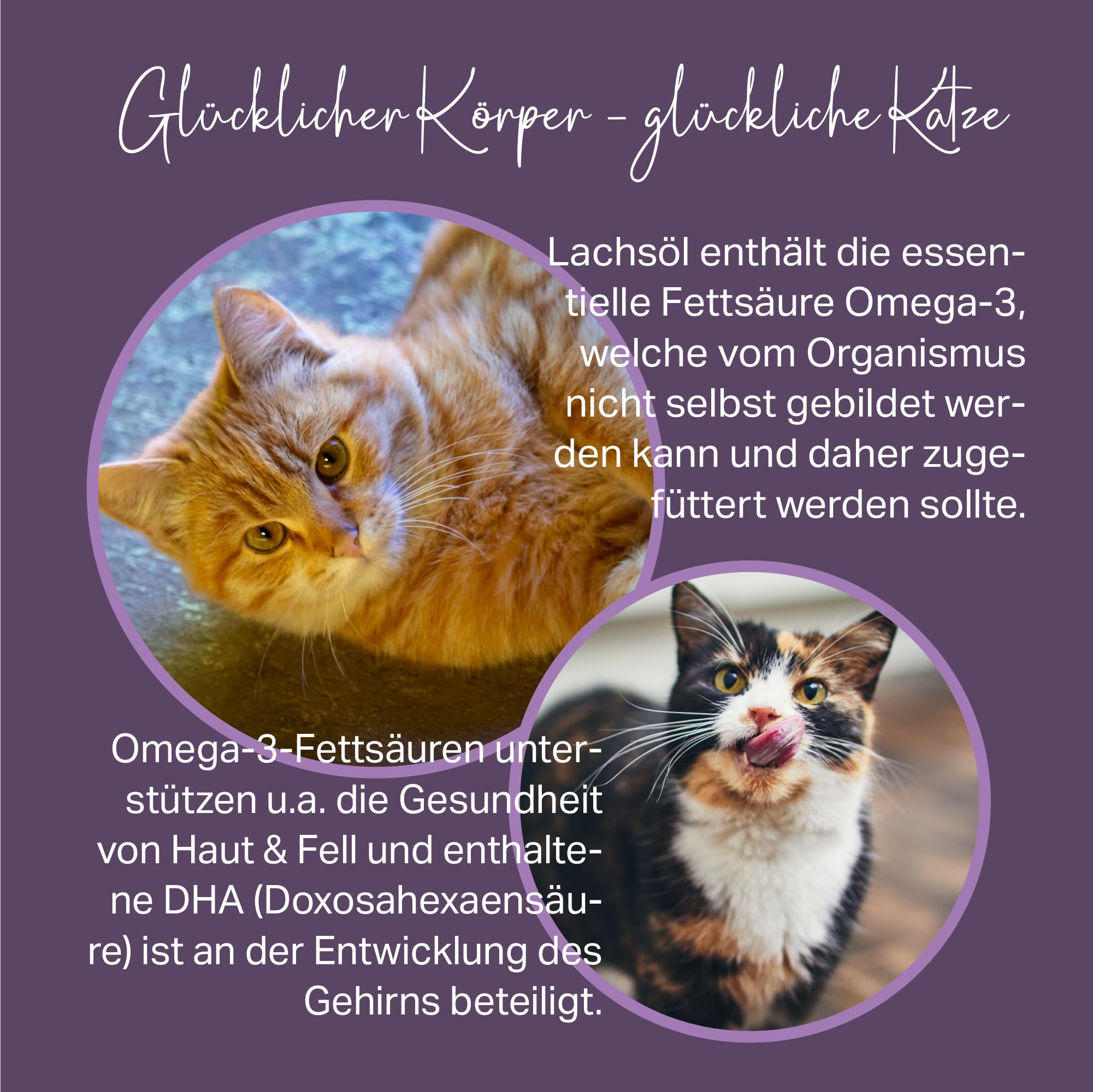 MEDICAT Premium Lachsöl – 250 ml – zur Haut- und Fellpflege von Katzen, mit Omega-3-Fettsäuren