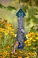 Vista 3 de Squirrel Buster - Comedero clásico para pájaros a prueba de ardillas con 4 puertos de alimentación, capacidad de semillas de 2.4 libras y Wagner's