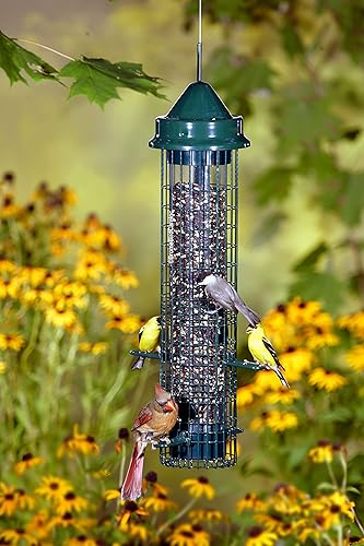 Miniatura 4 de Squirrel Buster Classic - Alimentador para pájaros a prueba de ardillas con 4 puertos de alimentación capacidad de semillas de 24 libras