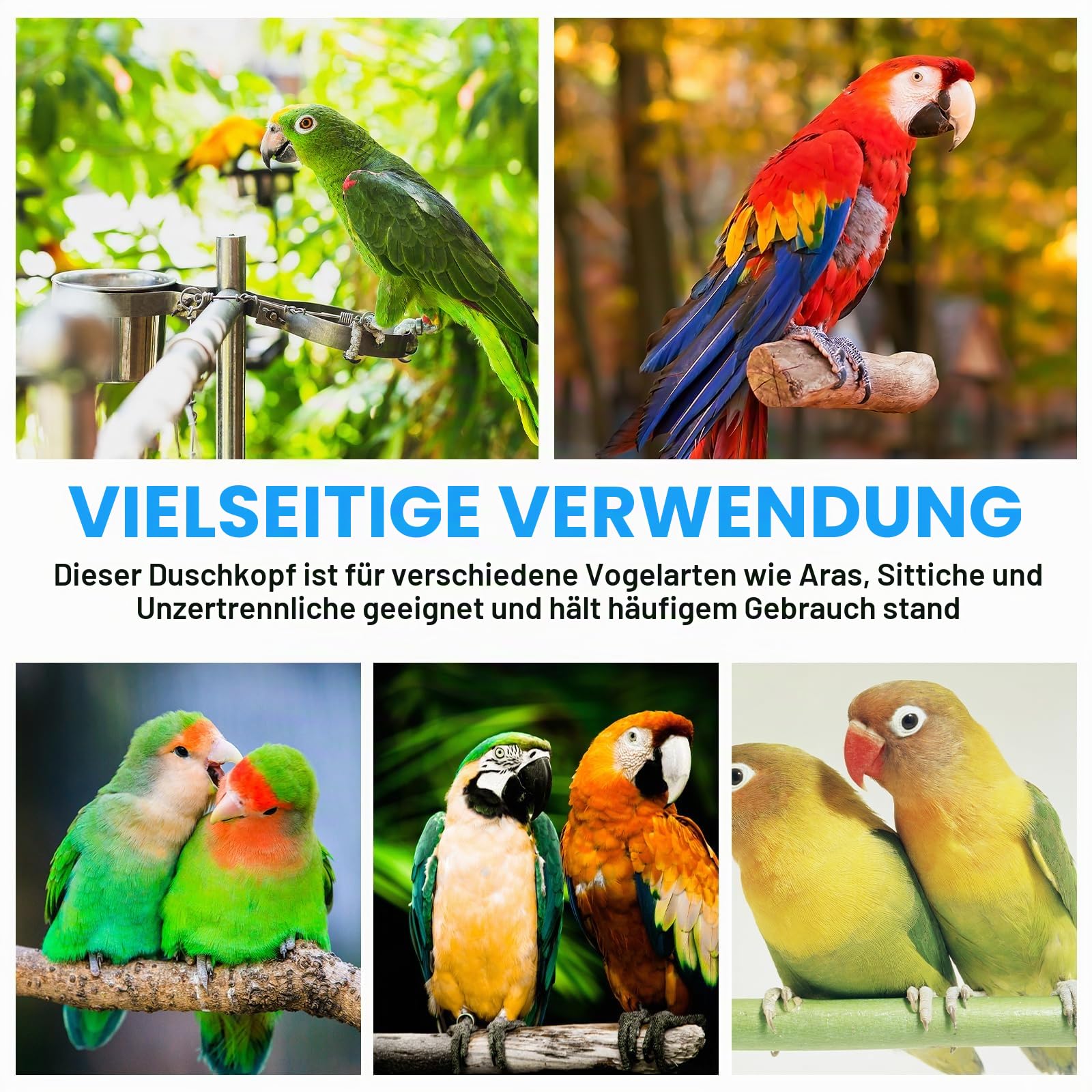 Wellensittich Dusche, Vogel Badehaus Badewanne, Vogeldusche Wellensittich, Wellensittich Badewanne, Automatische Haustier Vogeltränke, Multifunktionaler Vogeldusche Mit Zirkulierendem Wasser - Weiß