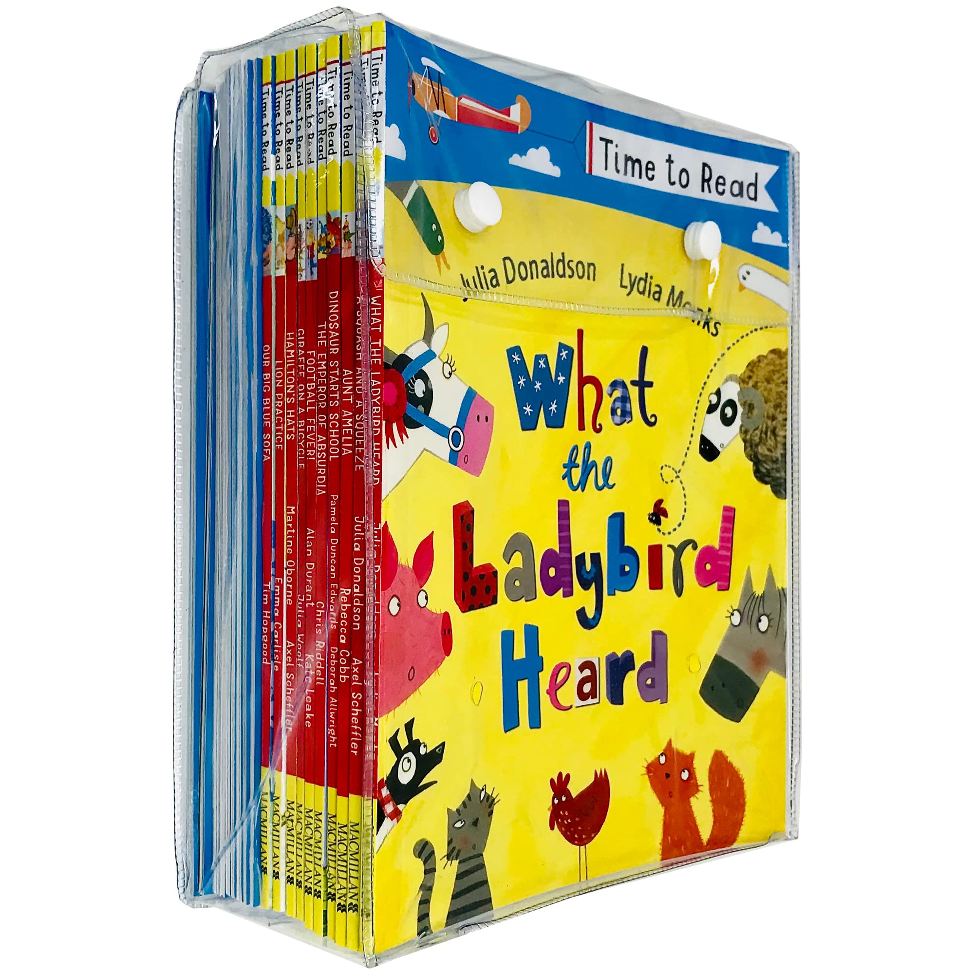 MACMILLAN Time to Read x 20 Book Set