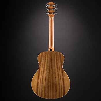 Amazon | Taylor GS Mini-e Koa エレアコギター テイラー