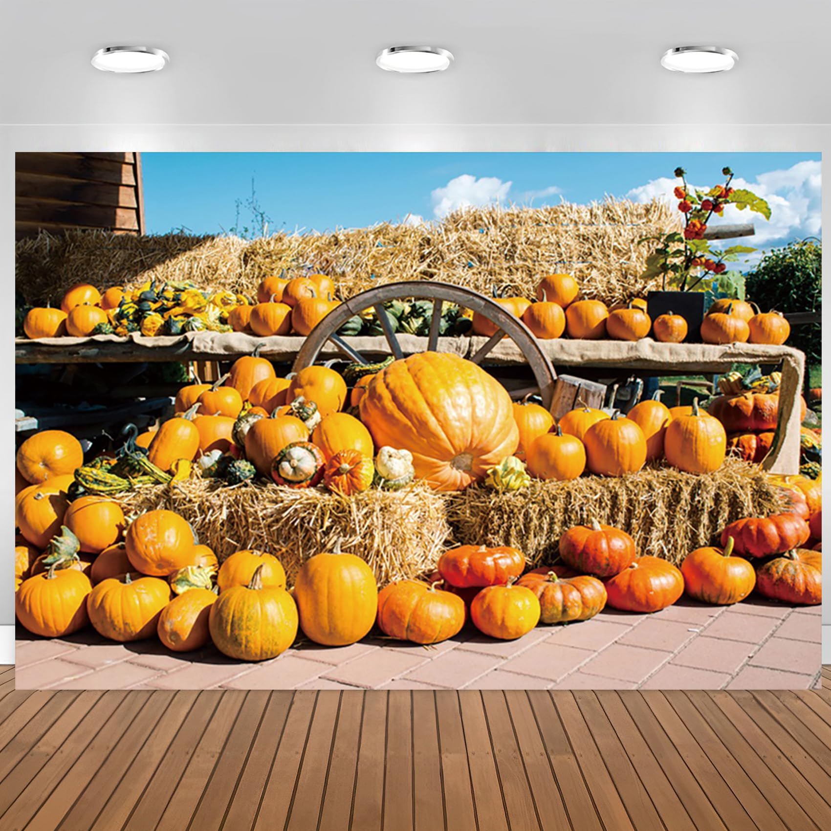 Photo 1 of CSFOTO 8x6ft Fall Pumpkin Backdrop Autumn Farm Harvest Thanksgiving Party Decoration Banner Birthday Party Newborn Baby Shower Portrait Photography Wallpaper Studio Props 8x6ft NKY04024