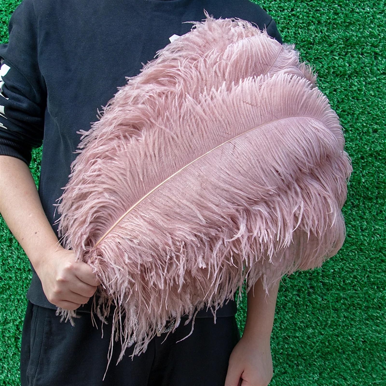 Plume Autruche 10 pièces 15-60 cm Plumes d'autruche