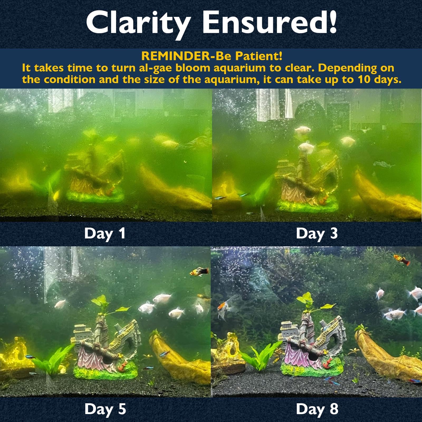 Filtro per acquario con chiarificatore U - V per la pulizia dell'acqua verde, filtro per rimuovere le alghe | Macchina verde per uccidere | Modalità aria/pioggia | con timer | Filtro per acquari