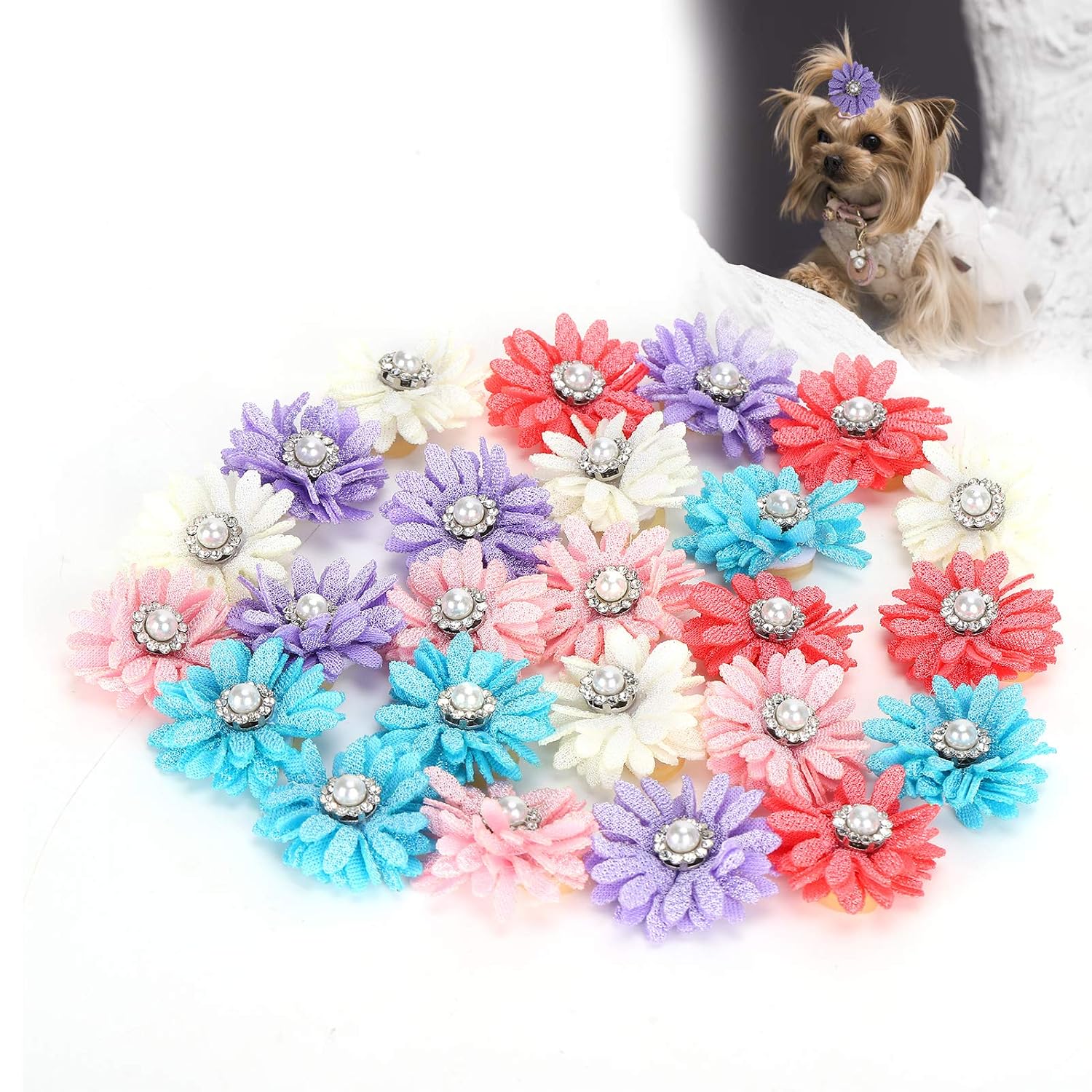 Skyblue Watermelon Red White Hair Bows Flowers for Small Dogs Cats Puppy Grooming Accessories 20Pcs Elastic Rubber Bands Bowknot Set