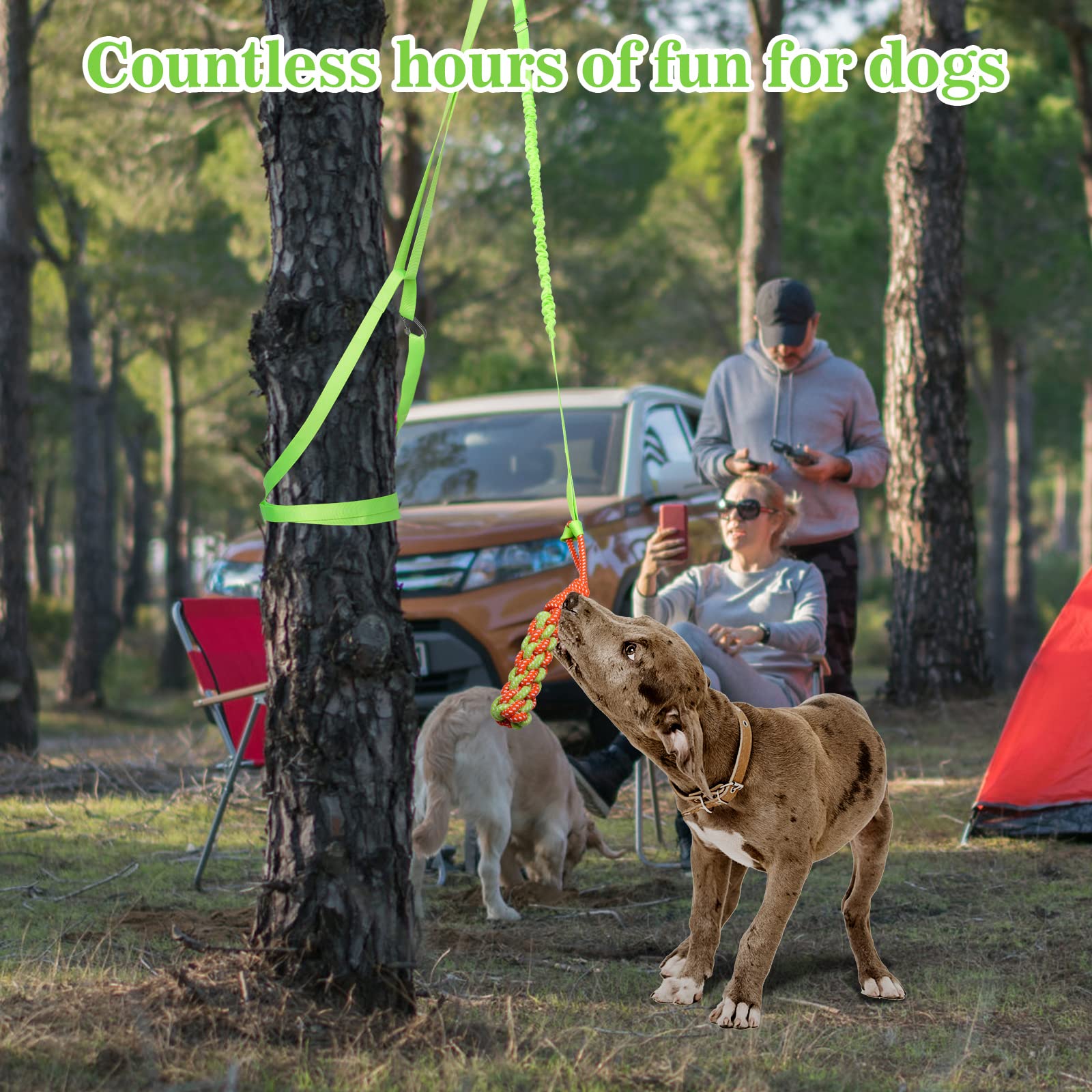 Dog Training Tools LOOBANI Outdoor Bungee Tug Toy,Dog Toy Hanging