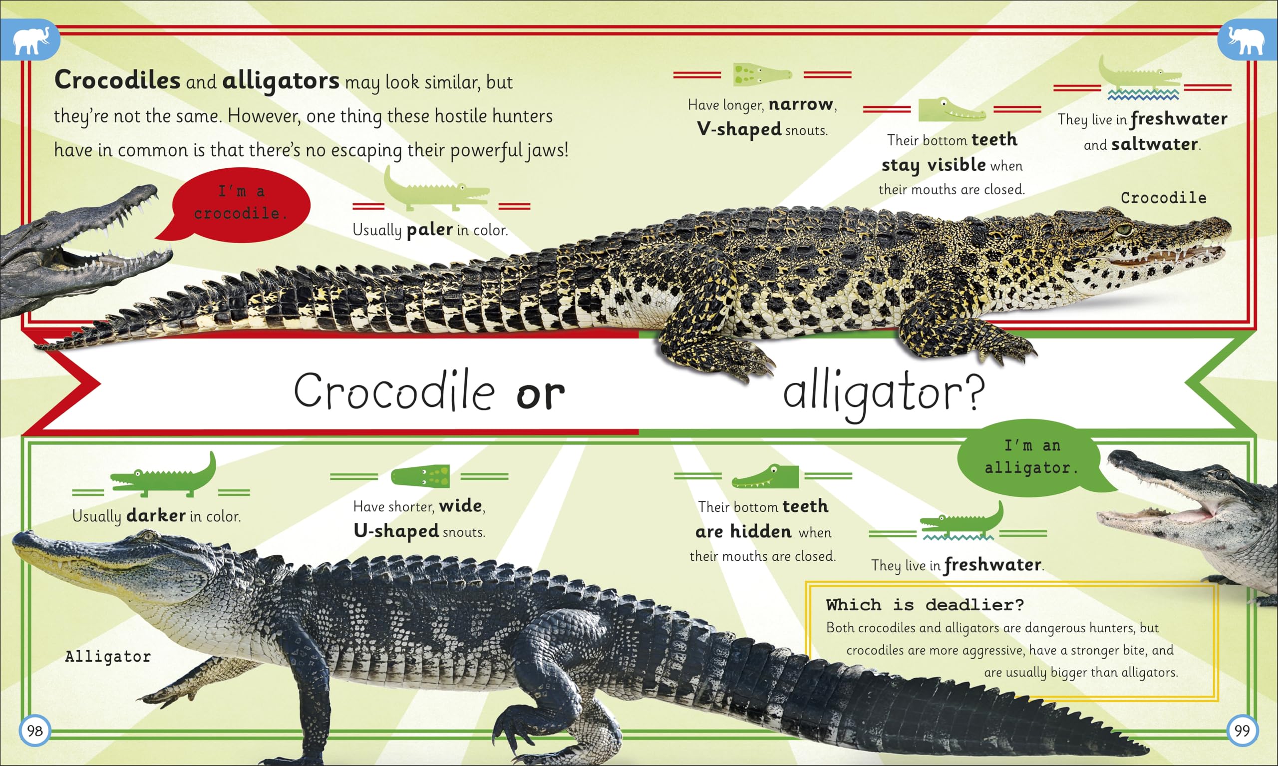 My Encyclopedia of Very Important Animals: For Little Animal Lovers Who Want to Know Everything
