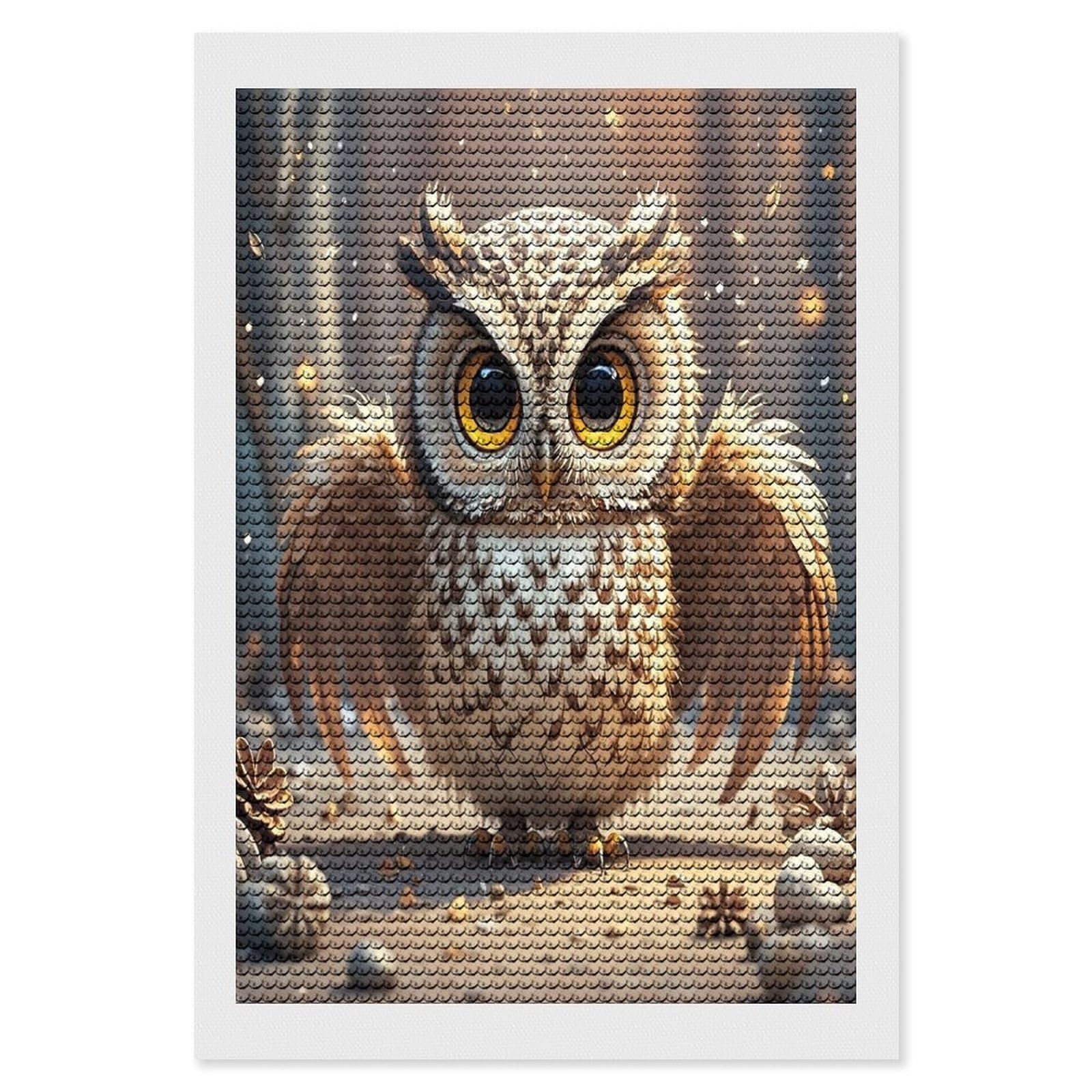 FekiLoot Cute Owl Diamond Painting Kits for Adults Full Round Drill Diamond Art Kits for Beginners 5D DIY Diamond Dots Paintings Diamonds Pictures Gem Art Home Wall Decor 8"x12"
