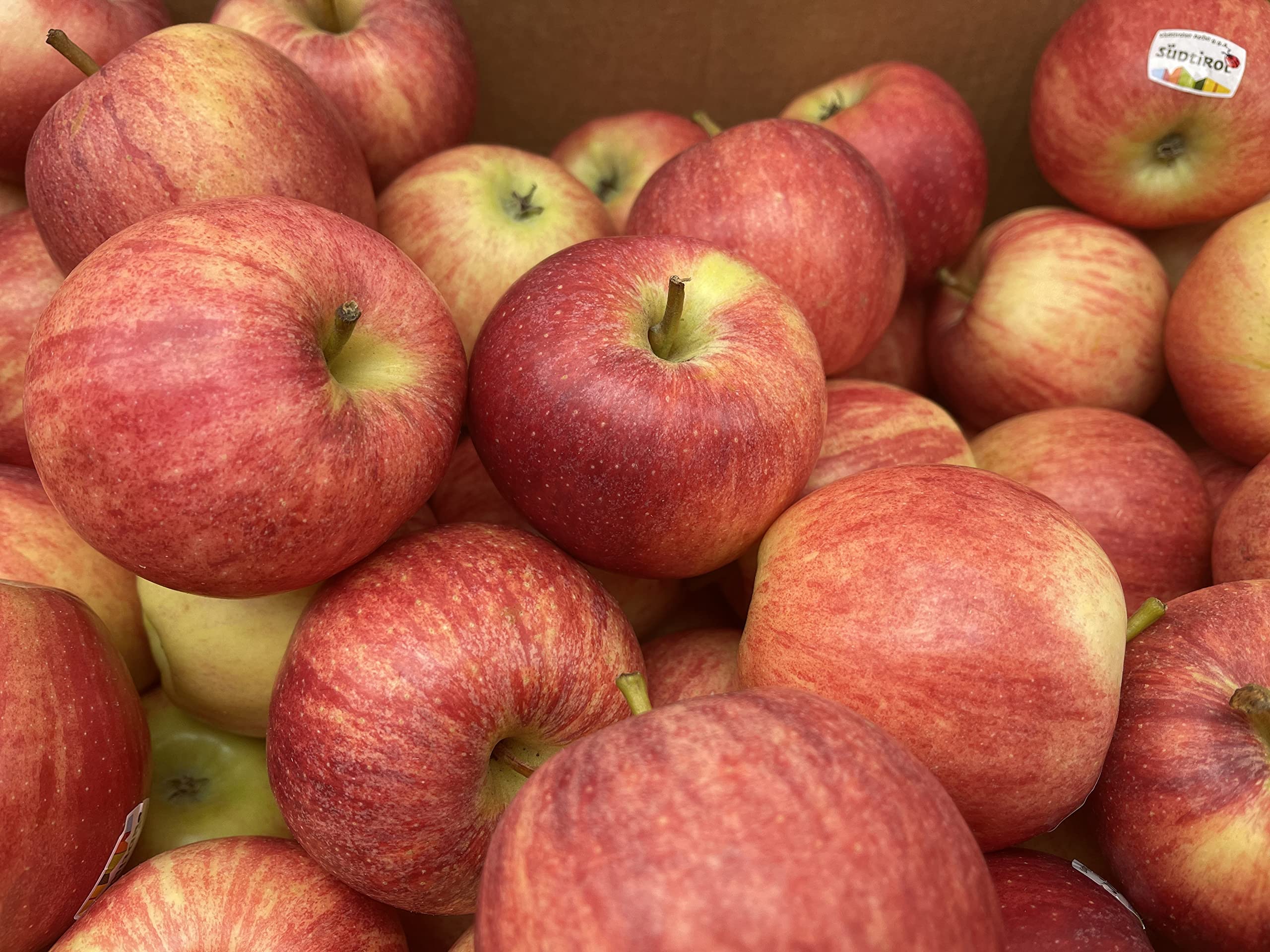 Äpfel Süd Tirol Royal Gala Aktuell Ernte - frische Apfel Holz Kiste 15 Kg