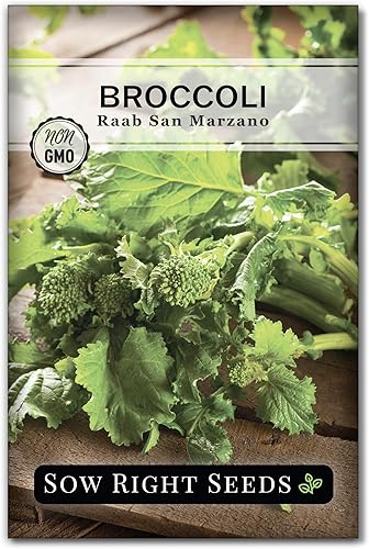 Sow Right Seeds - Semillas Raab de brócoli de San Marzano para plantar - Paquete de reliquia sin OMG con instrucciones para plantar un huerto en el disponible en Yaxa El Salvador
