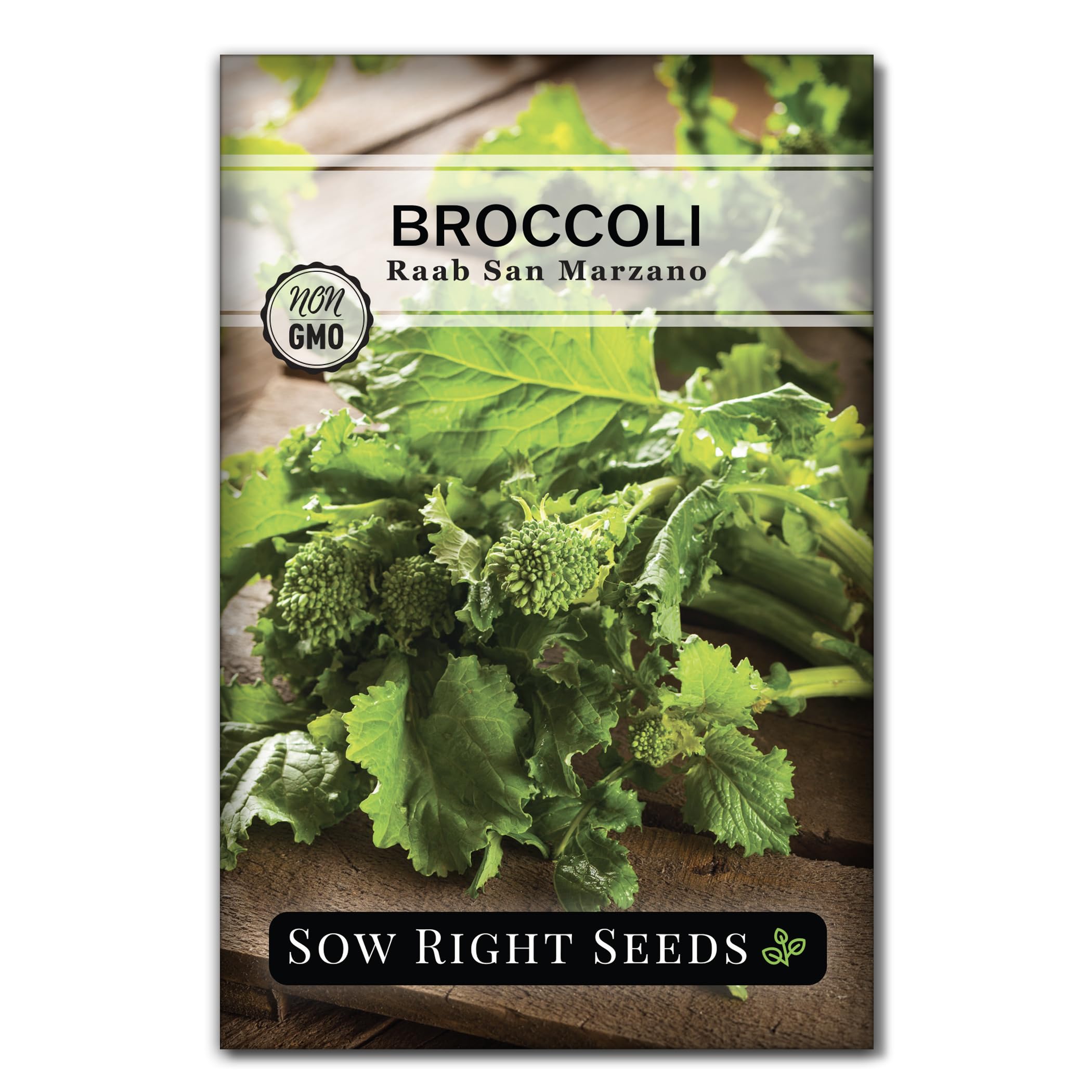 Sow Right Seeds - San Marzano Broccoli Raab Seeds for Planting - Non-GMO Heirloom Packet with Instructions to Plant an Outdoor Home Vegetable Garden - Spring Rabe Rapini - Italian Broccoli Greens (1)