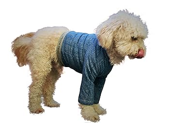 Mozzie Pants XLTBLUE Dog T-Shirt, X-Large