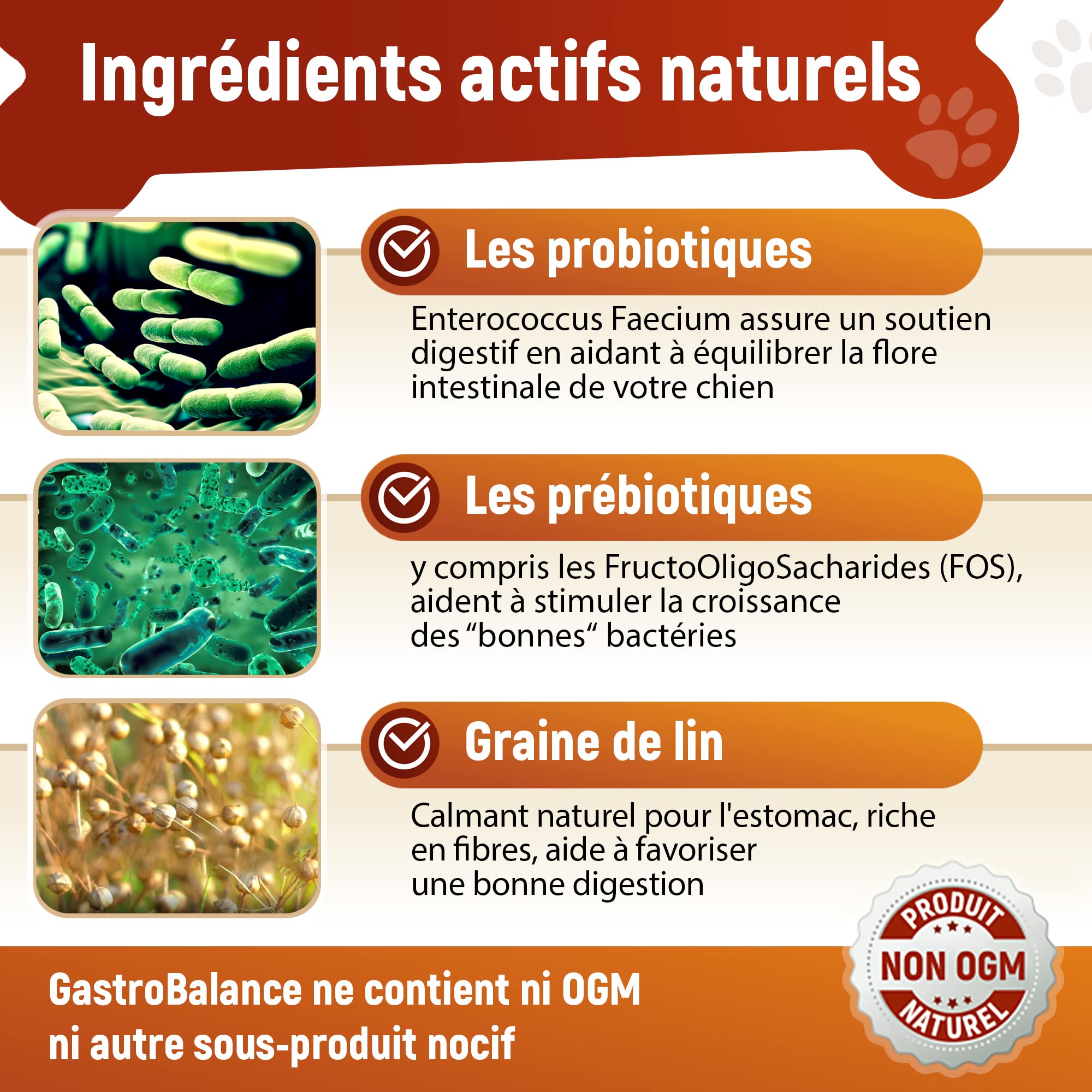Traitement Chien probiotique – 60 croquettes Naturelles probiotique Flore intestinale Chien - Goût Bacon (Francais)