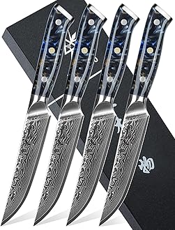 Steak Knives Set of 4, Ultra Sharp Non Serrated Kitchen Steak Knife 5 Inch - Damascus Steel & Resin Handle - Xuan Series (Starry Black)
