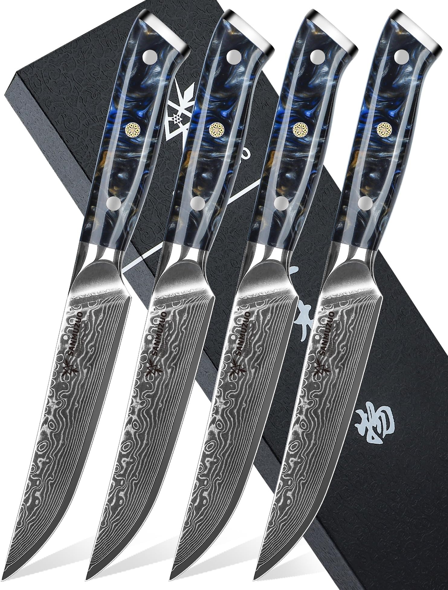 Steak Knives Set of 4, Ultra Sharp Non Serrated Kitchen Steak Knife 5 Inch - Damascus Steel & Resin Handle - Xuan Series (Starry Black)