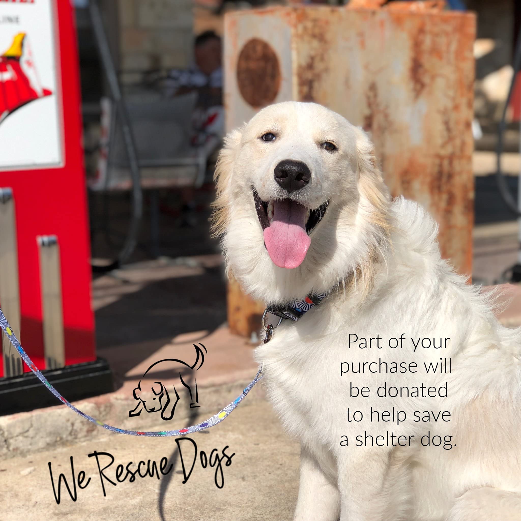 Lucky Love Dog Set aus Halsband und Leine für große Hunde – SOCO, Größe L | Hundehalsband und Leine, Set für große Hunde, passendes, verstellbares Halsband + 1,5 m Leine, einfache Klick-Schnalle