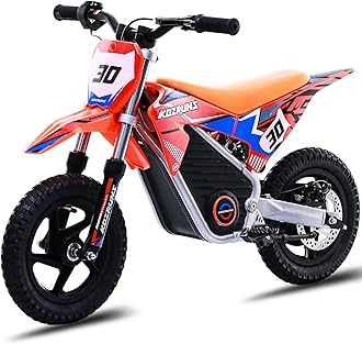 36V Electric Dirt Bike for Kids Aged 3-8, Brushless 250W Racing Grade Electric Motorcycle, Up to 15.5MPH & 3 Speed Settings, Safe Disc Brakes, 12'' Off-Road Knobby Tires, Orange