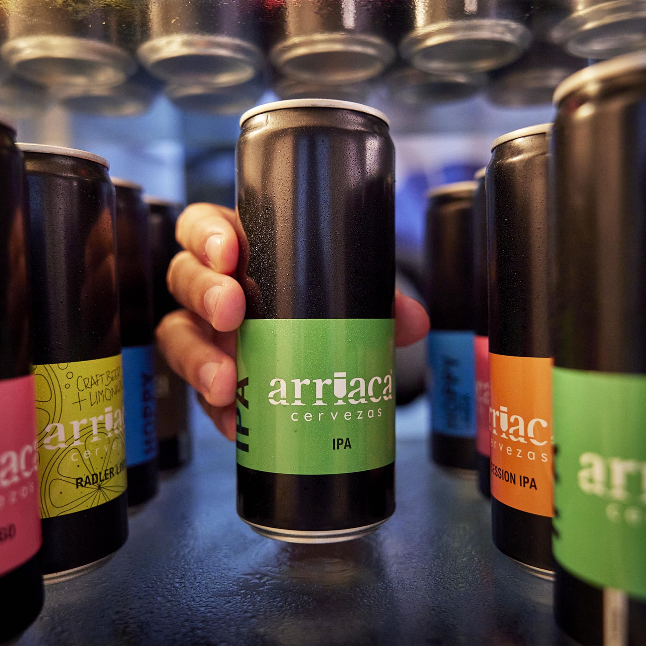 Cerveza Premium Arriaca IPA en Pack Fabricación Artesanal. Premios internacionales a la Mejor Cerveza Artesana (24 latas 33cl)