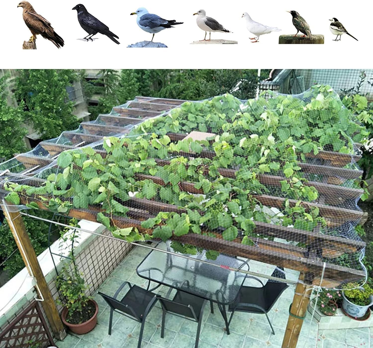 Rete for Piante for Frutta e Verdura Rete di Sicurezza Leggera Bianca for pollai, recinzioni da Giardino, Barriere for Conigli e Animali(5x10m/16.4x32.8ft)