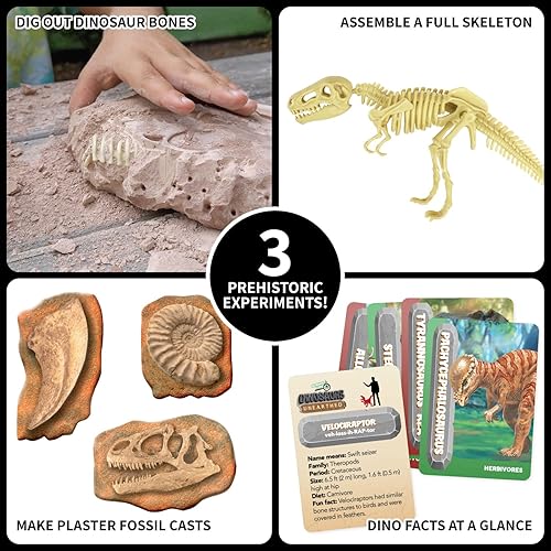 Miniatura 3 de Science Lab SpiceBox Dinosaurs Unearthed Kit - Sumérgete en el mundo prehistórico
